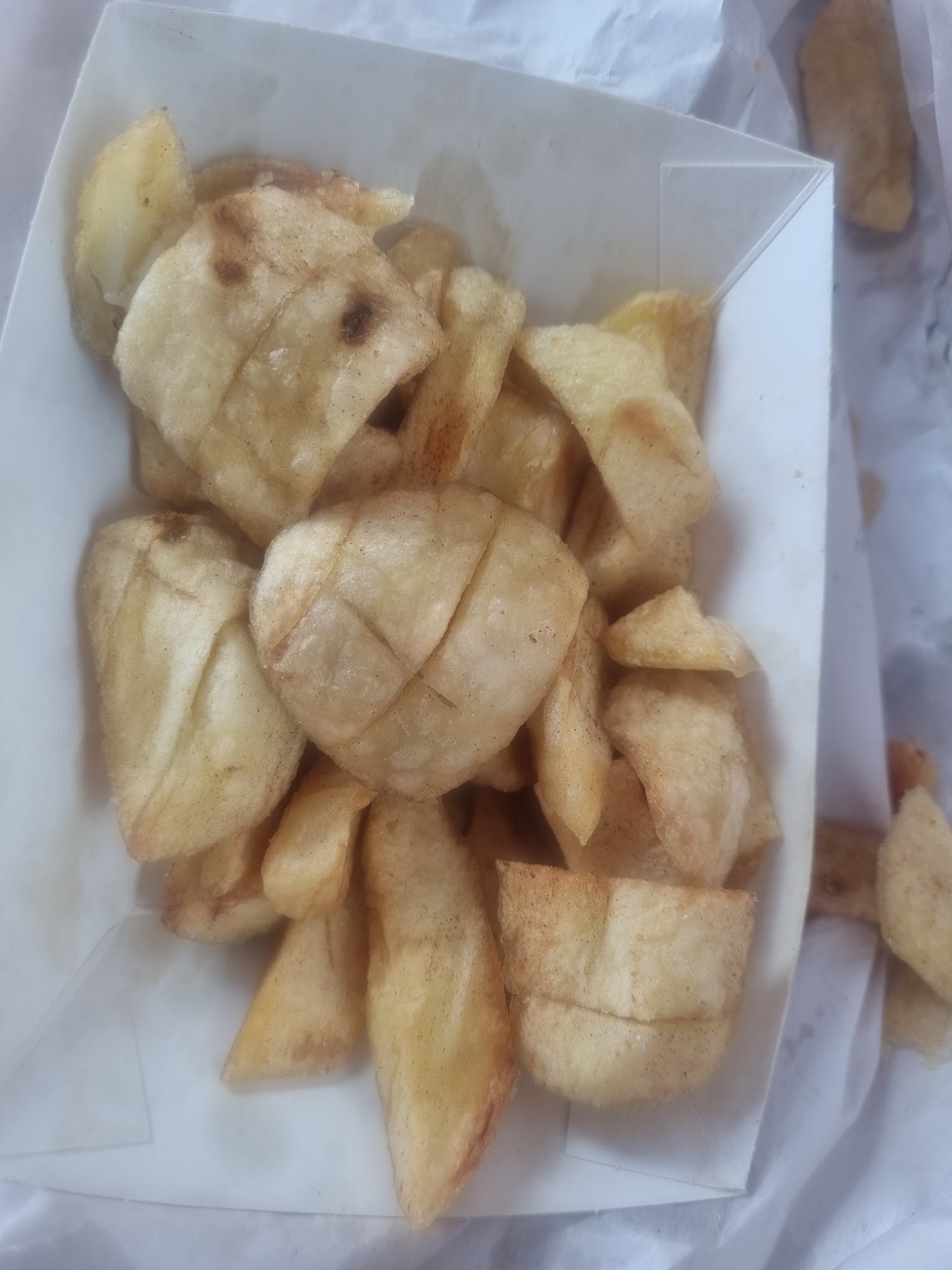 Fat Fish