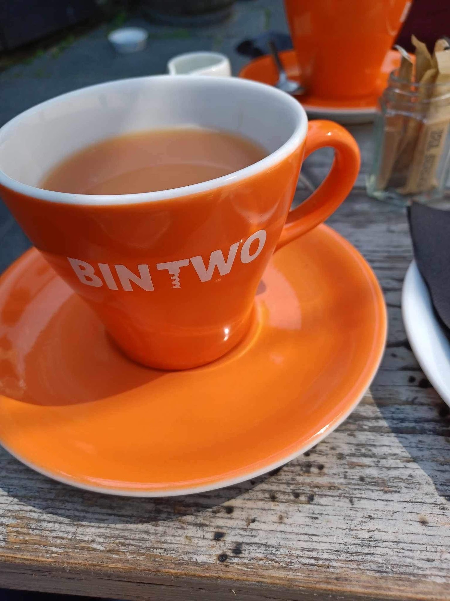 BinTwo