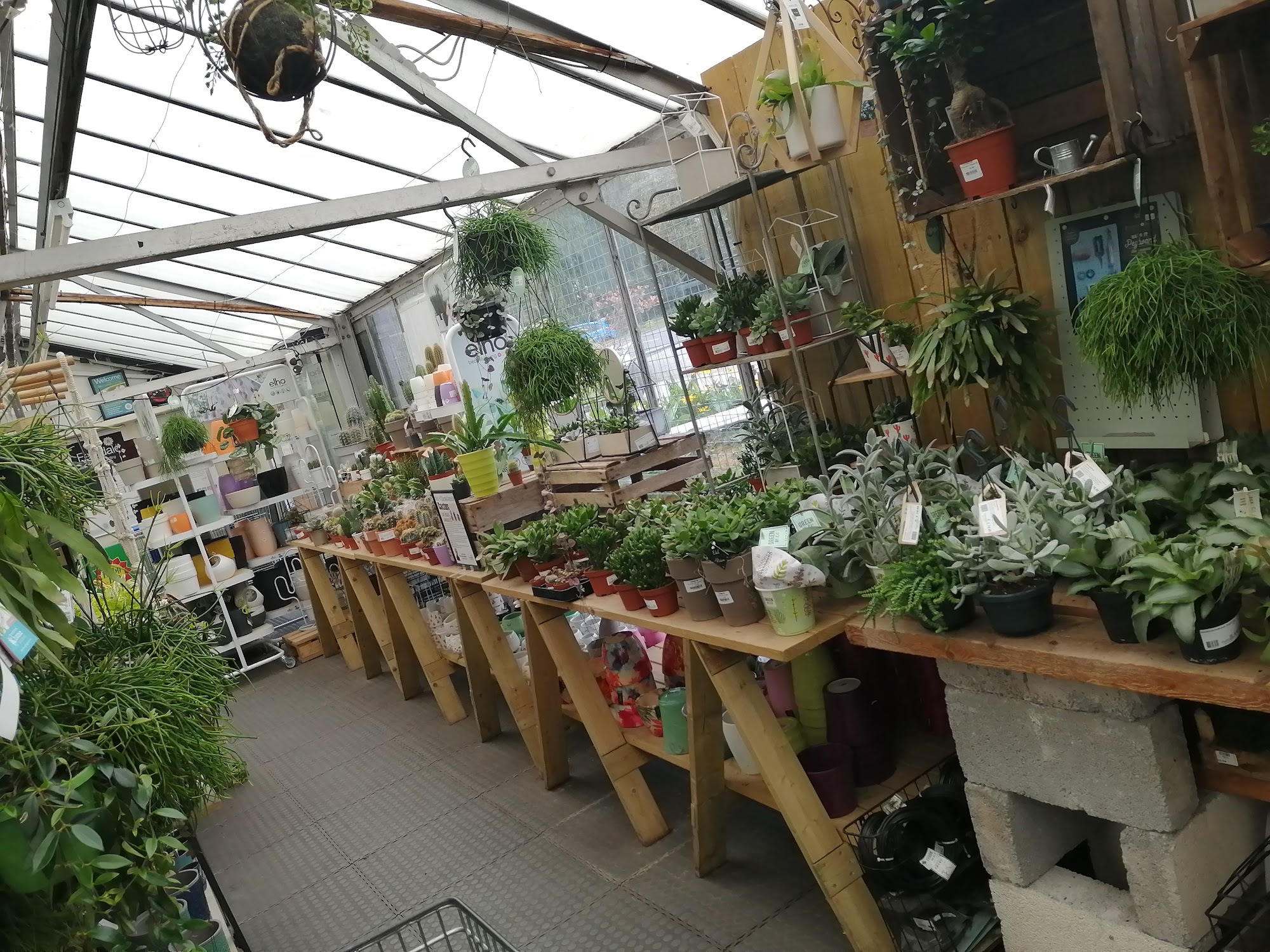 Ferndale Garden Centre