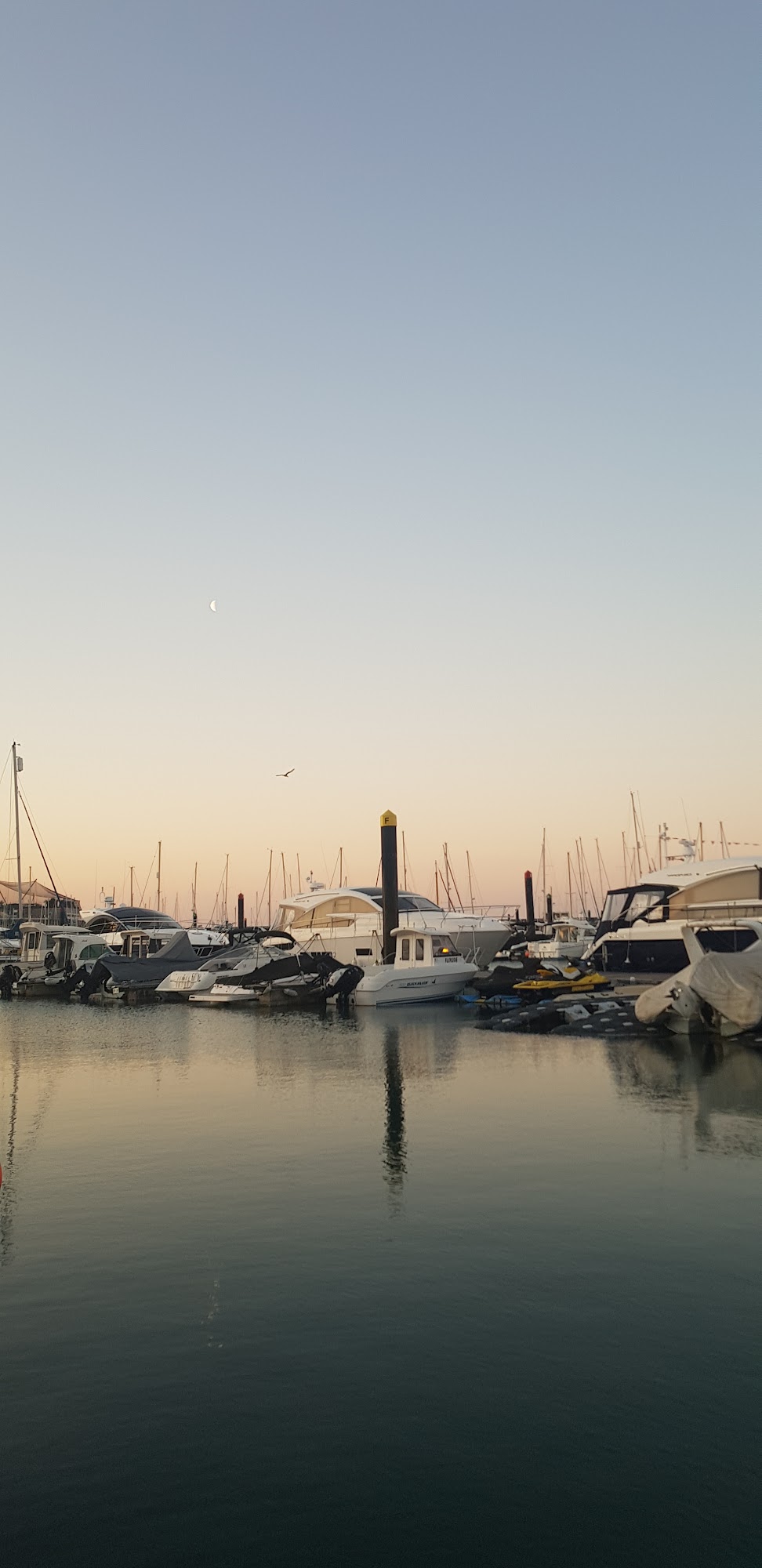 The Princess Bistro