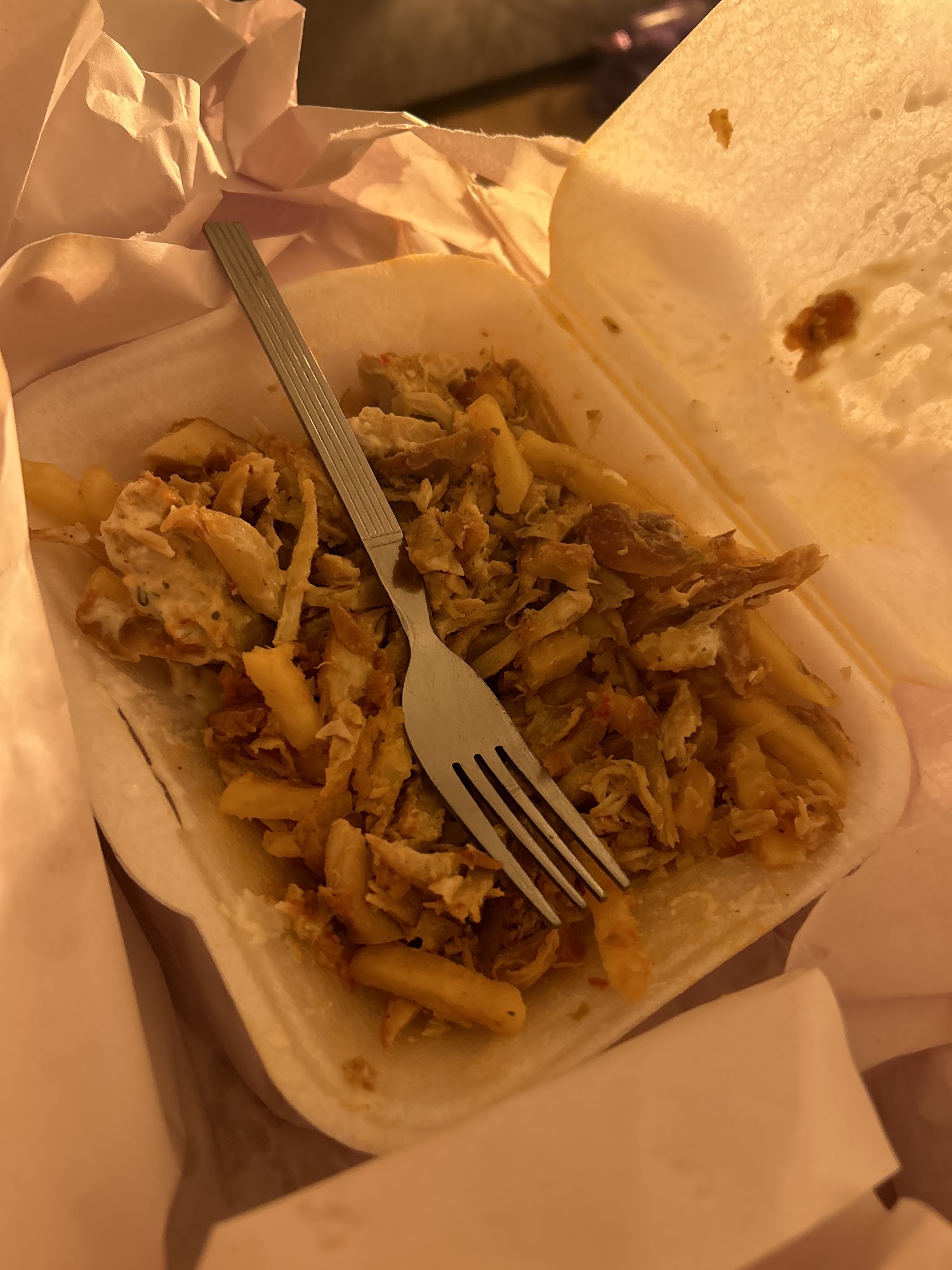 Kaplan Kebab