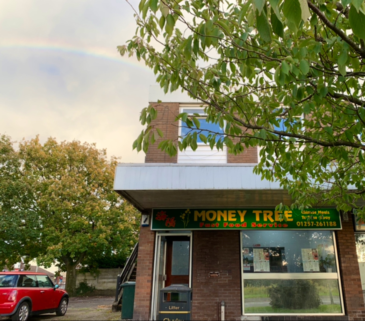 Money Tree