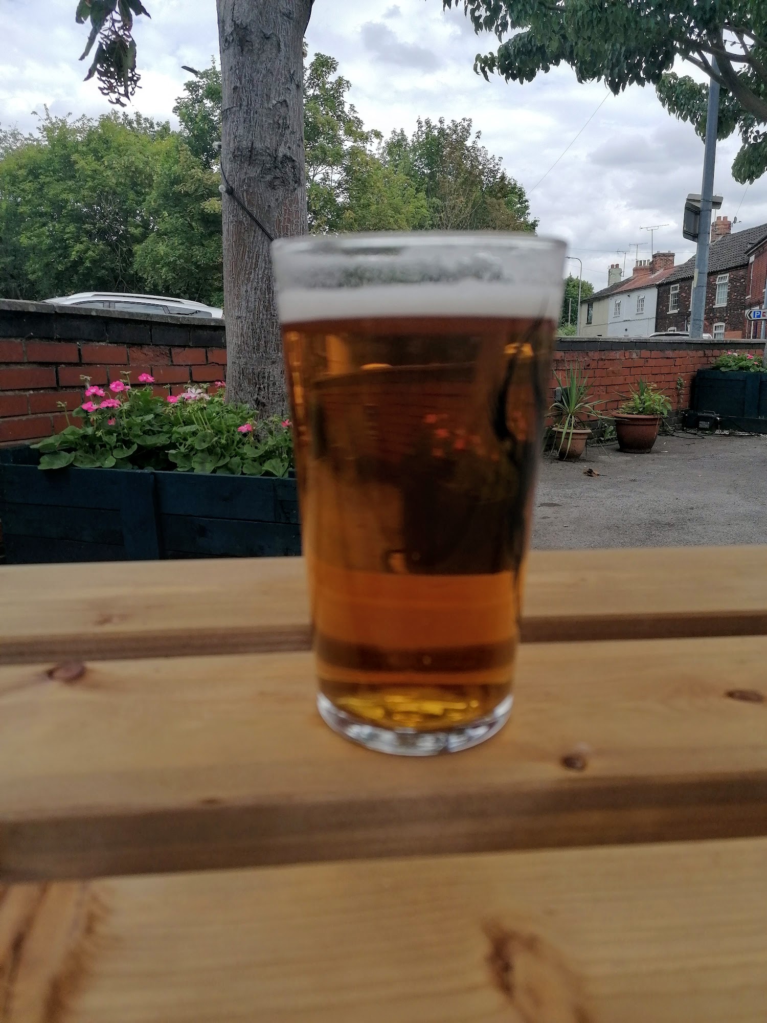 The White Swan