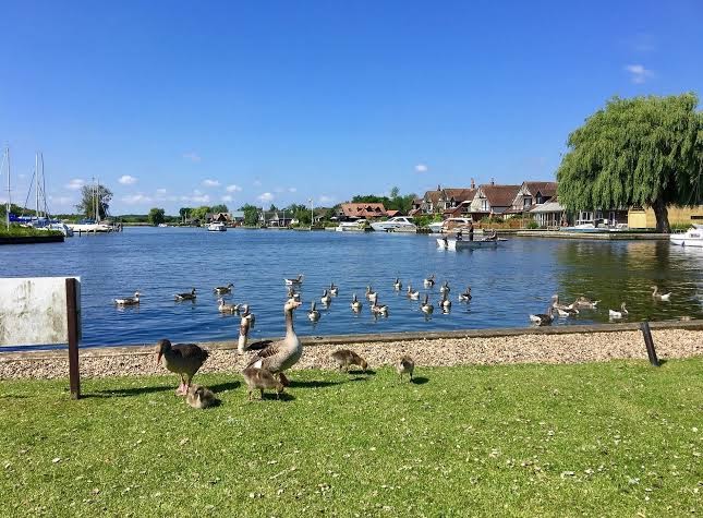 The Moorhen Bed & Breakfast