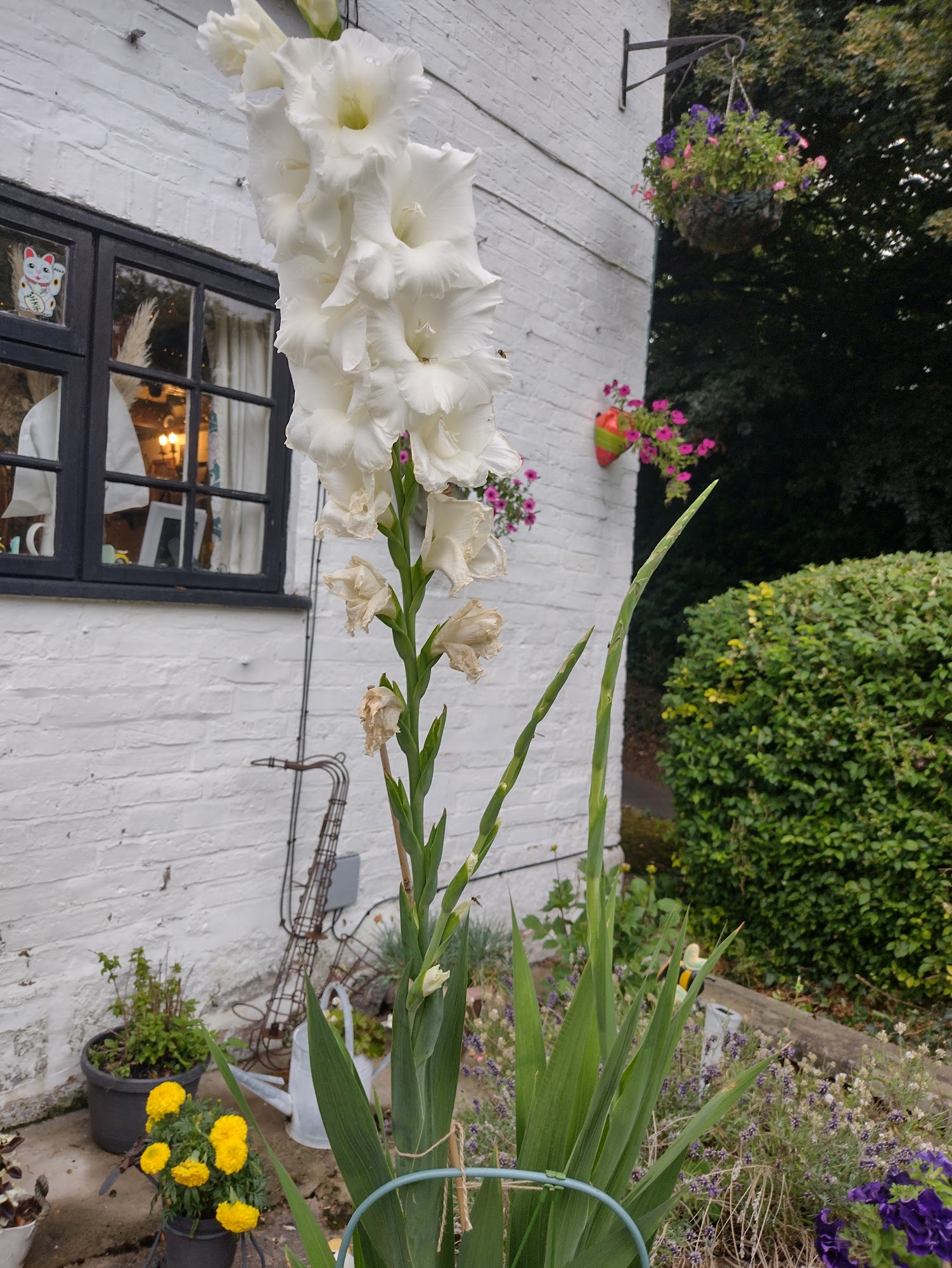 The Beehive Inn