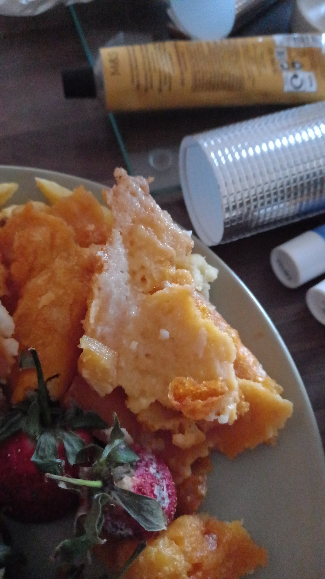The Village Plaice