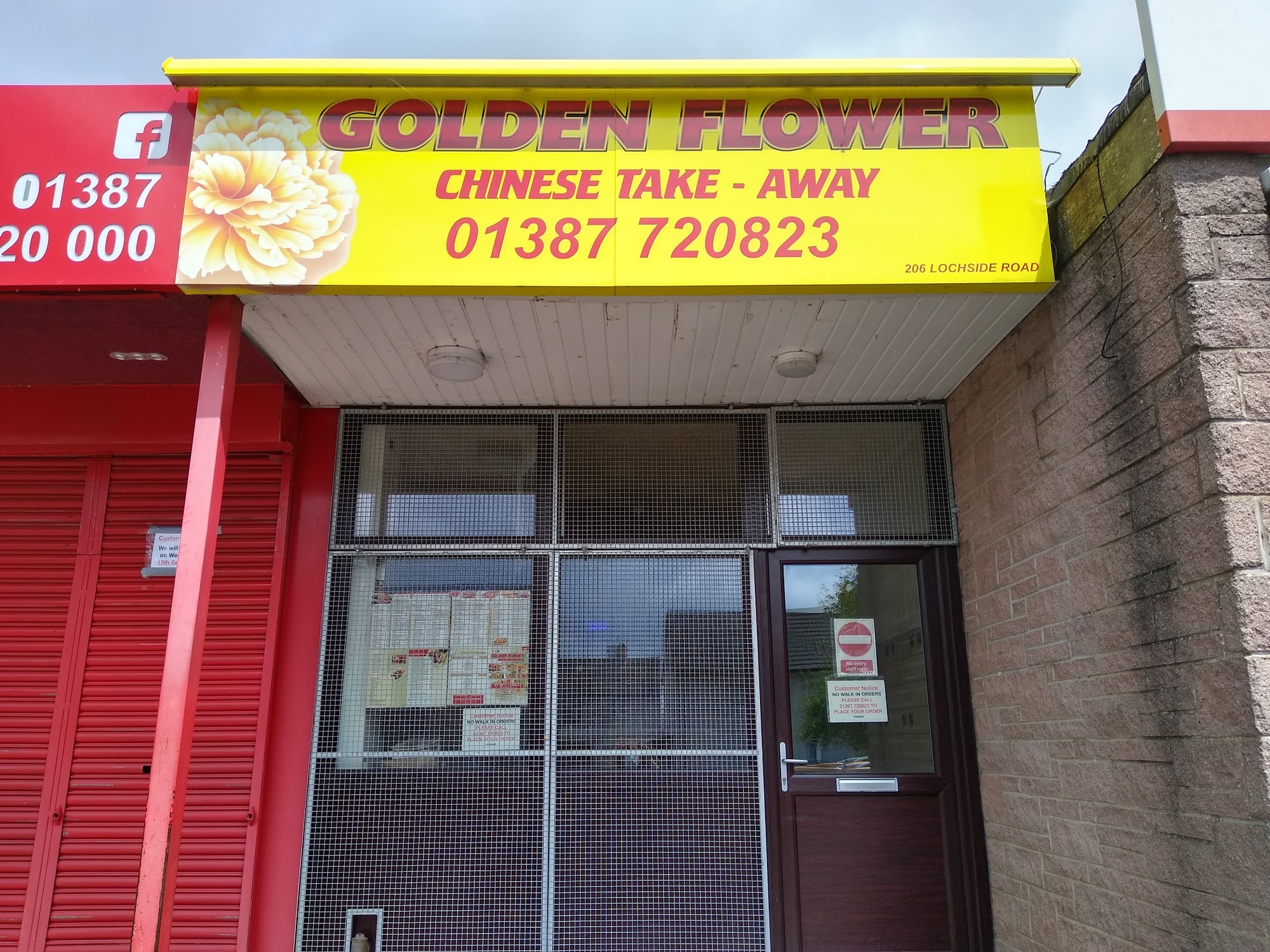 Golden Flower
