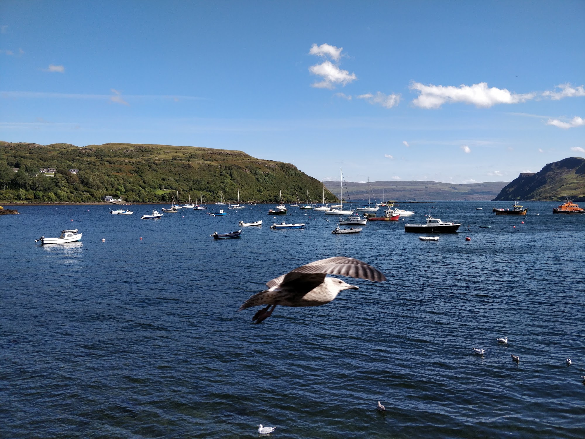 Harbour Chip Shop