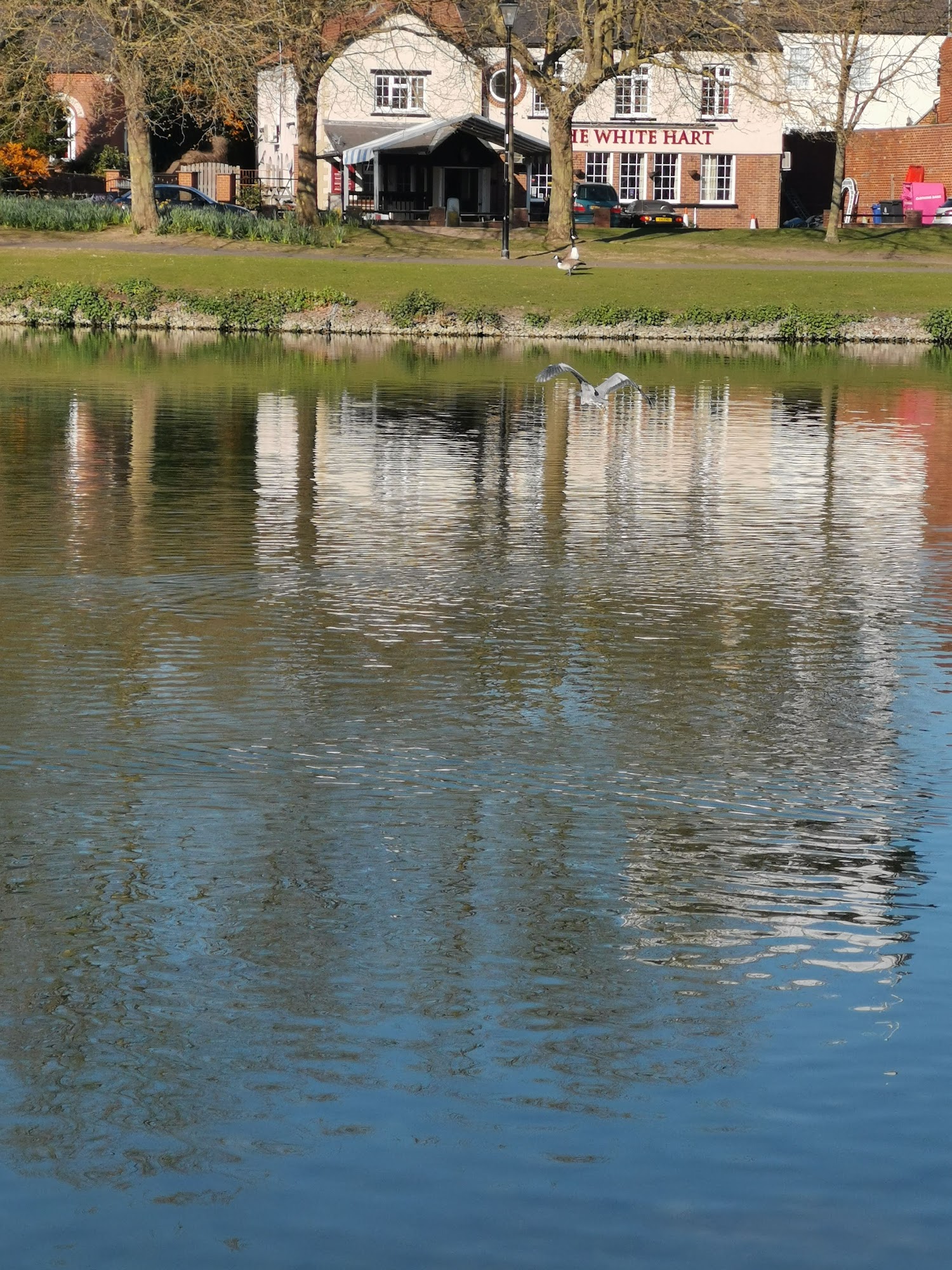 The Lakeside Cafe