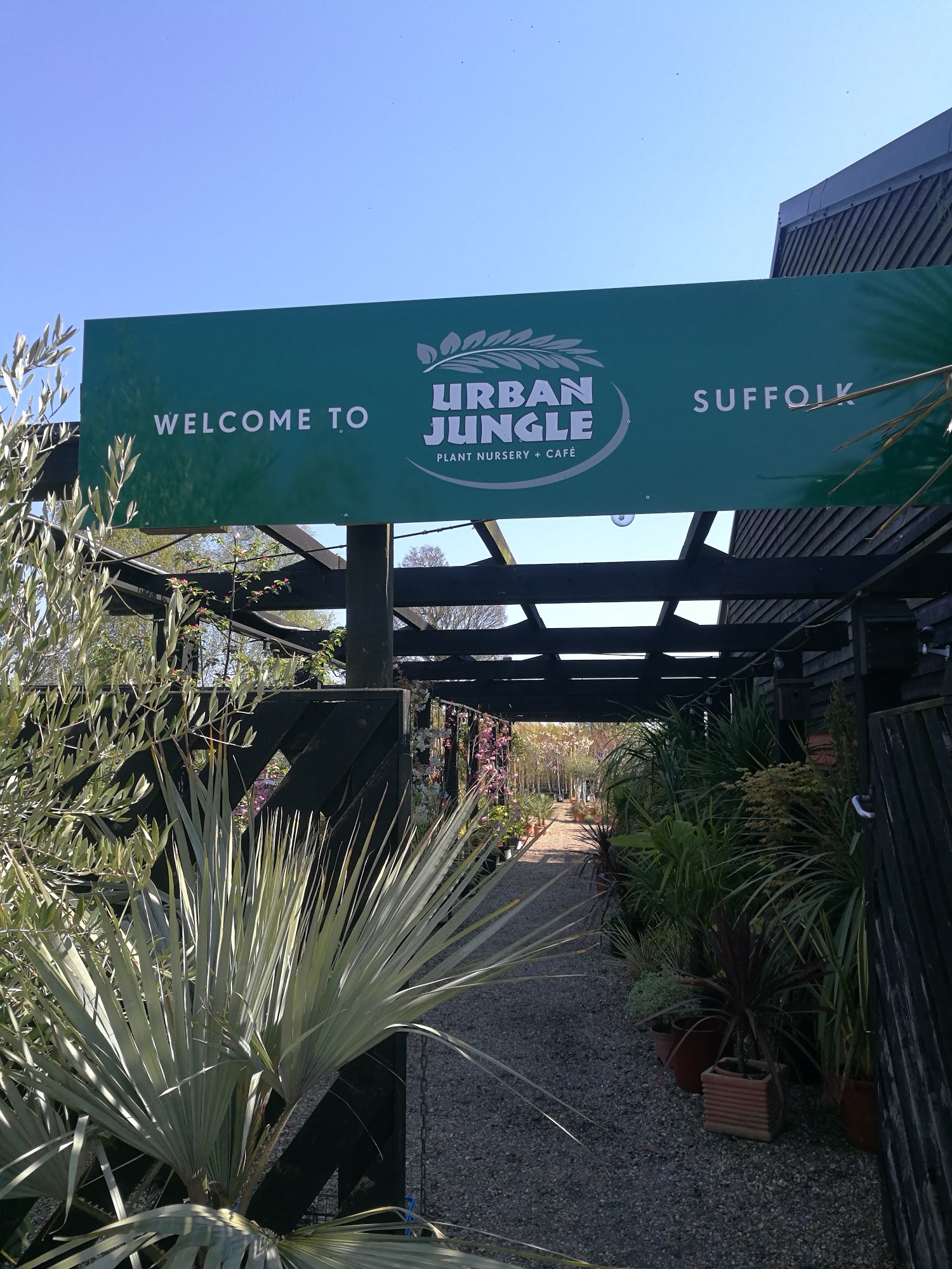 The Cafe at Urban Jungle Suffolk