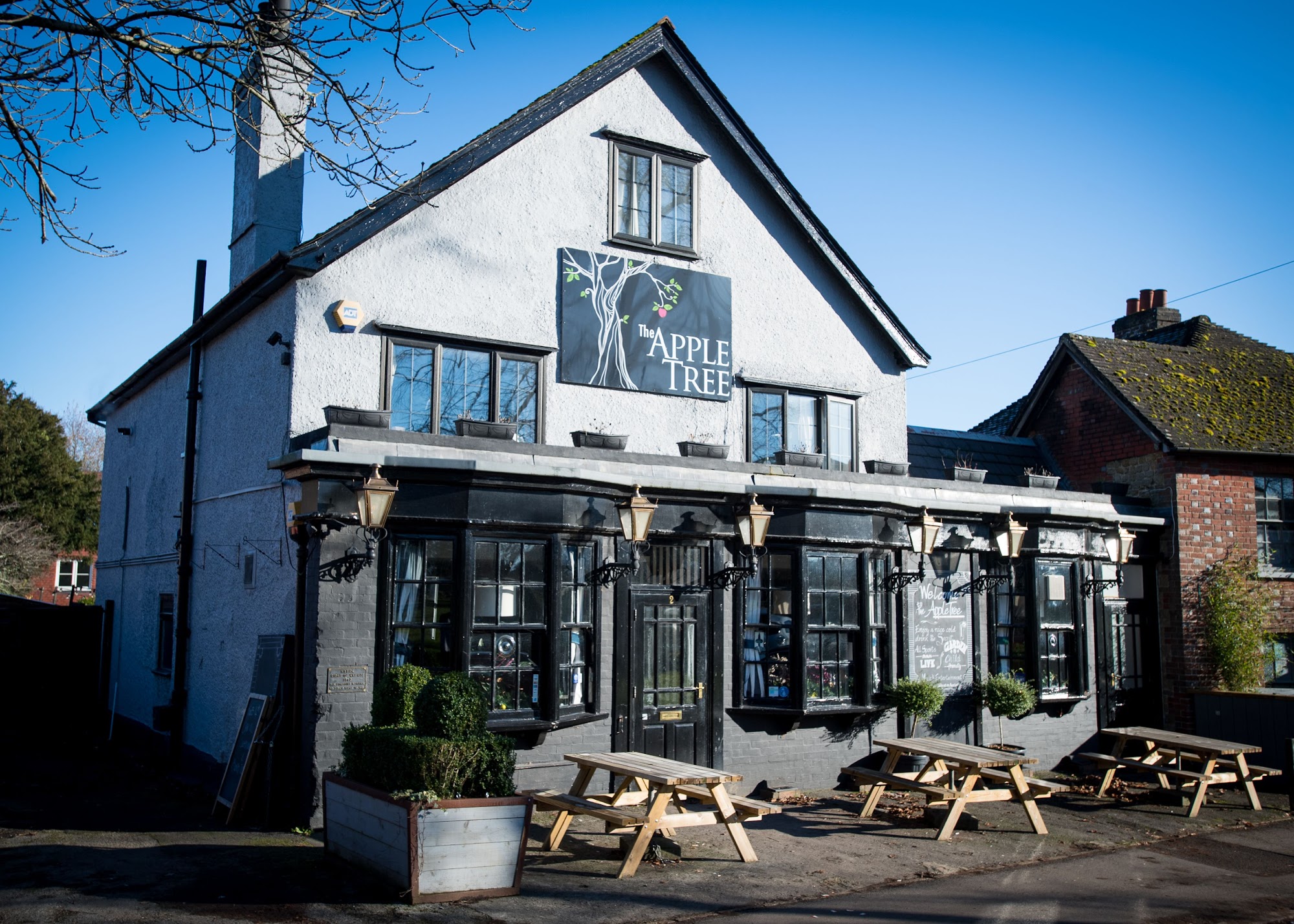 Apple Tree Pub | Haslemere