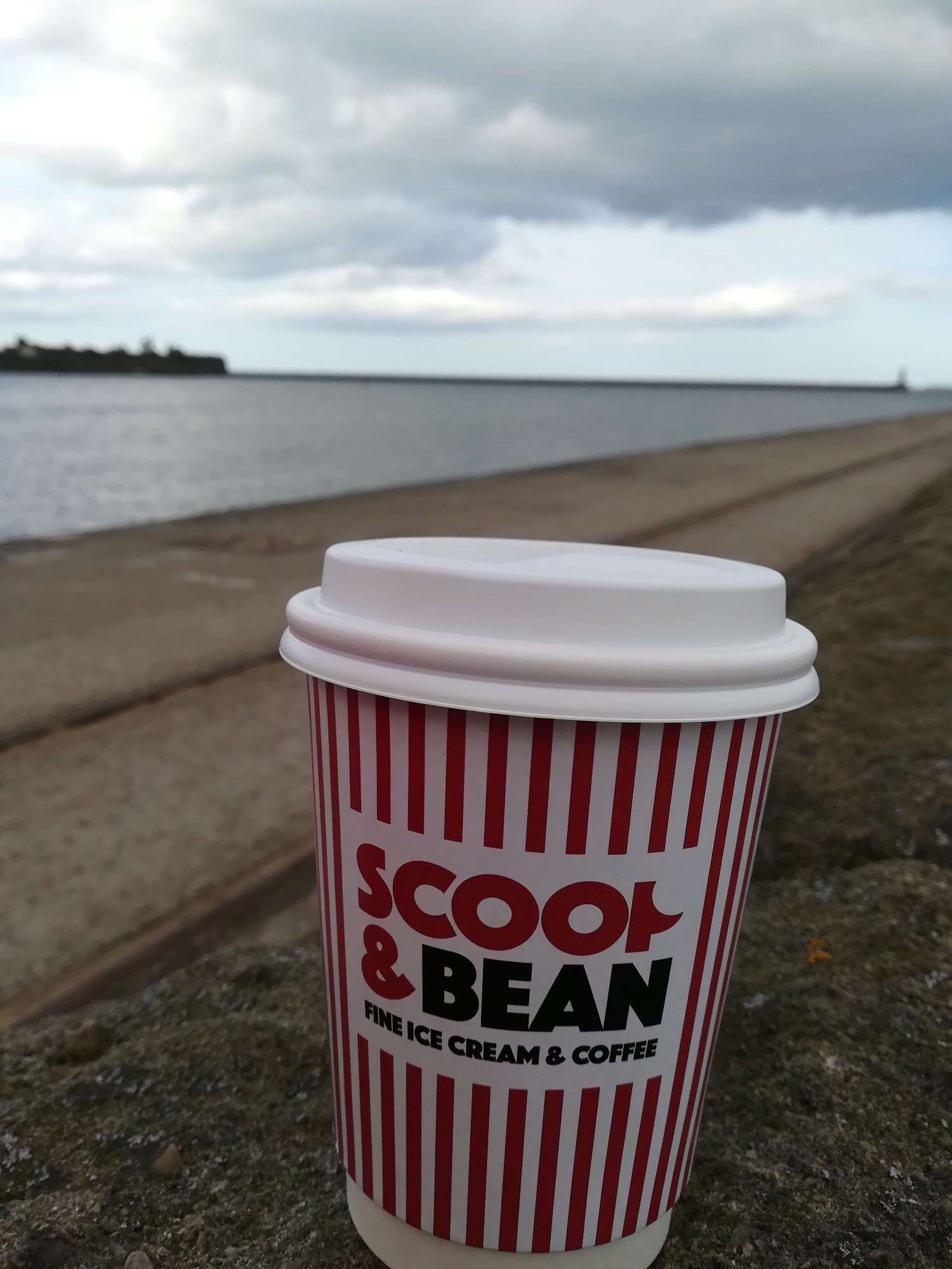 Scoop and Bean
