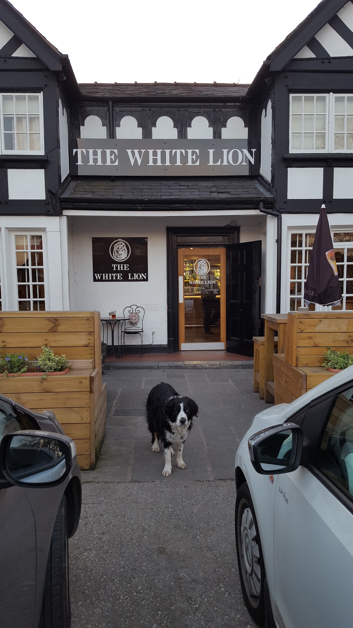The White Lion