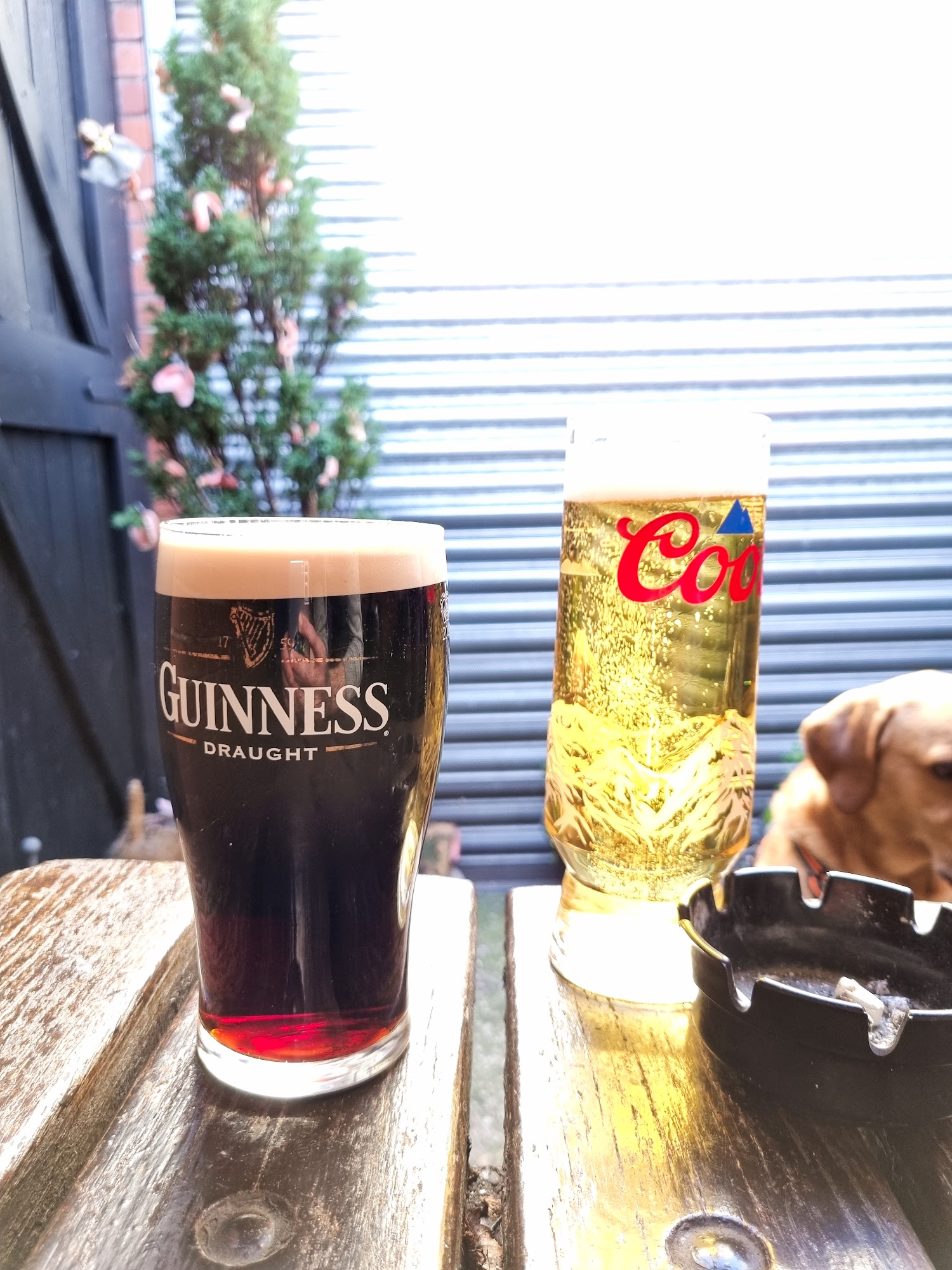 The Vine Inn