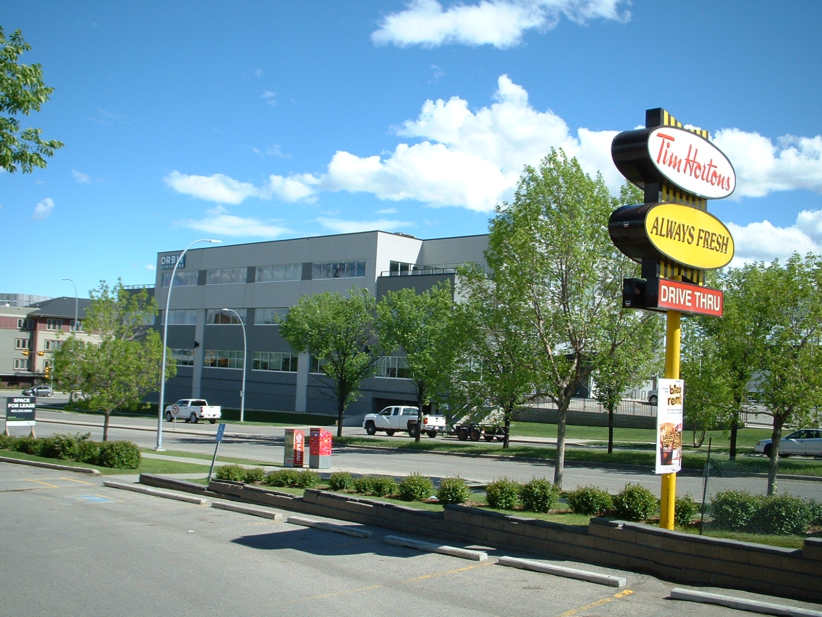 Tim Hortons