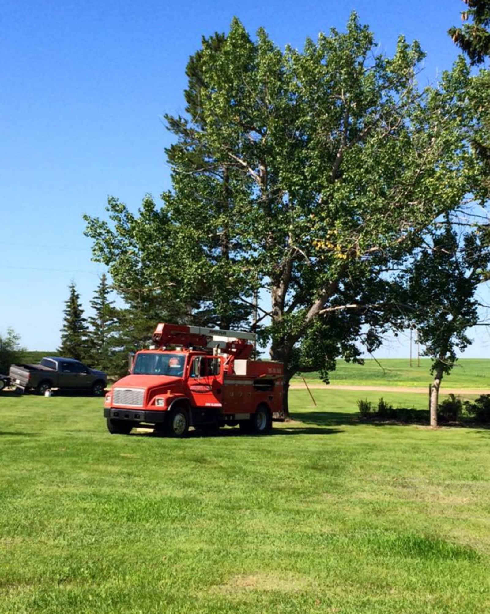 Photo credit: yellowpages.ca