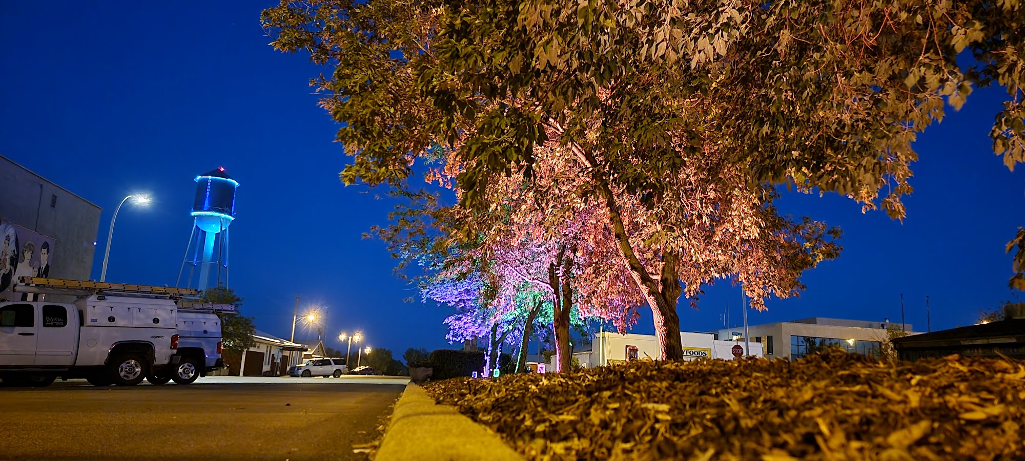 Vital Networks Inc. Coronation