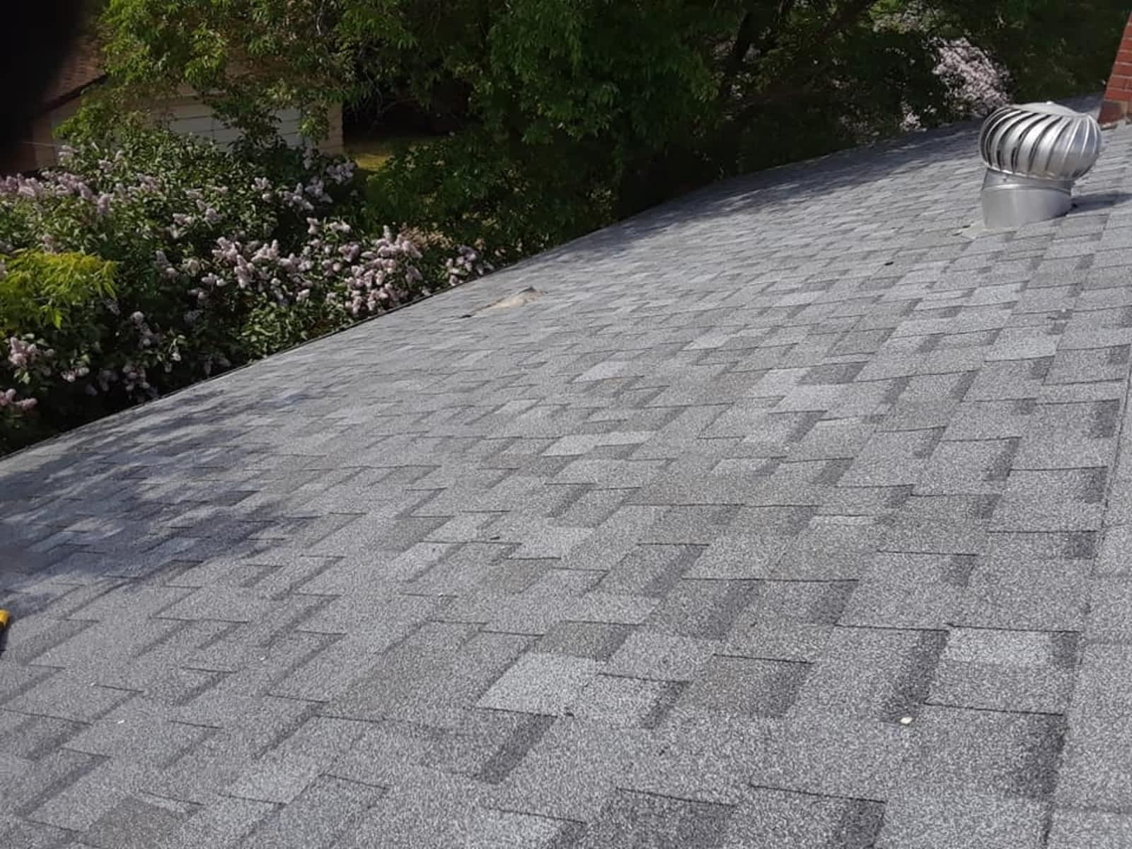 Photo credit: yellowpages.ca