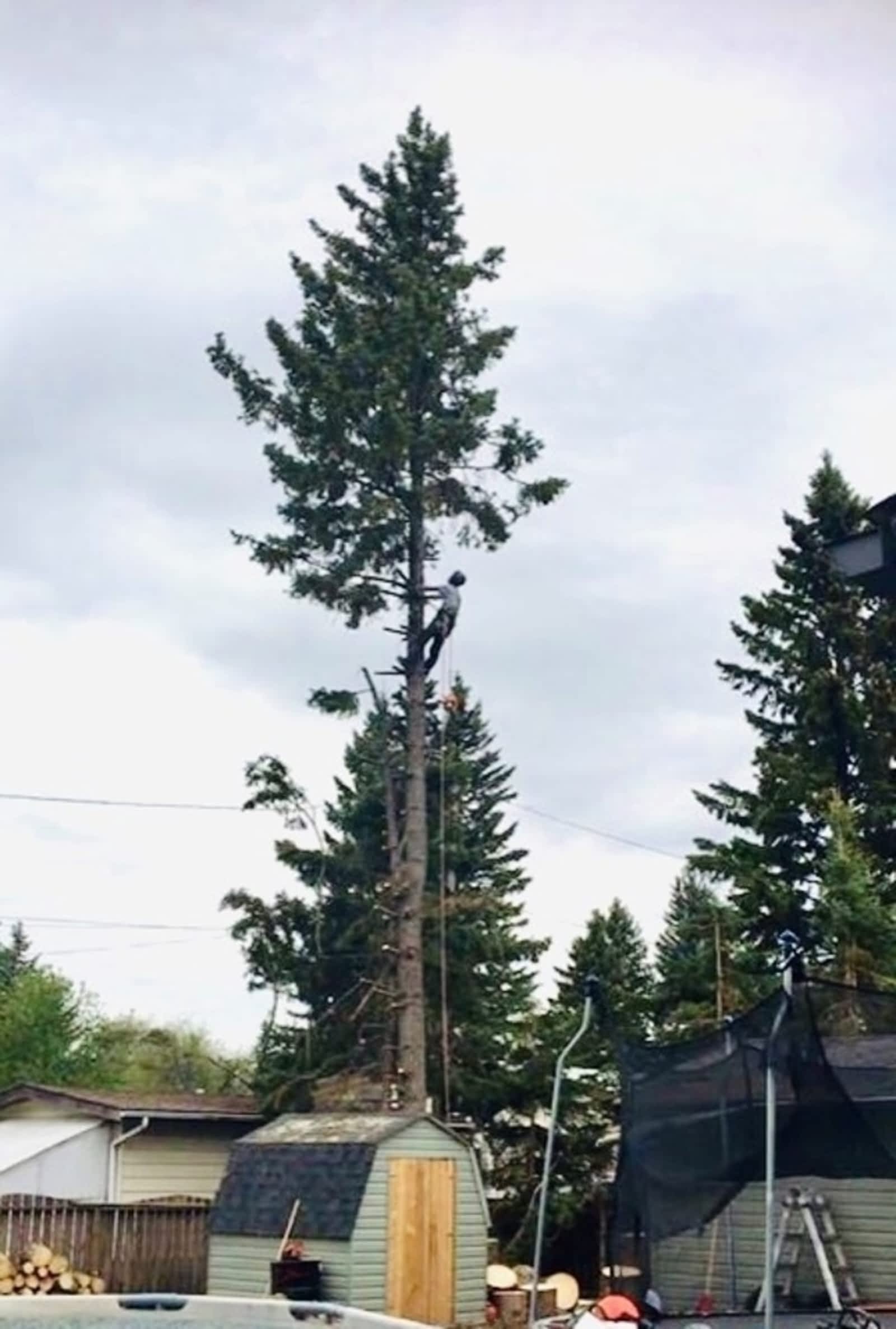 Photo credit: yellowpages.ca