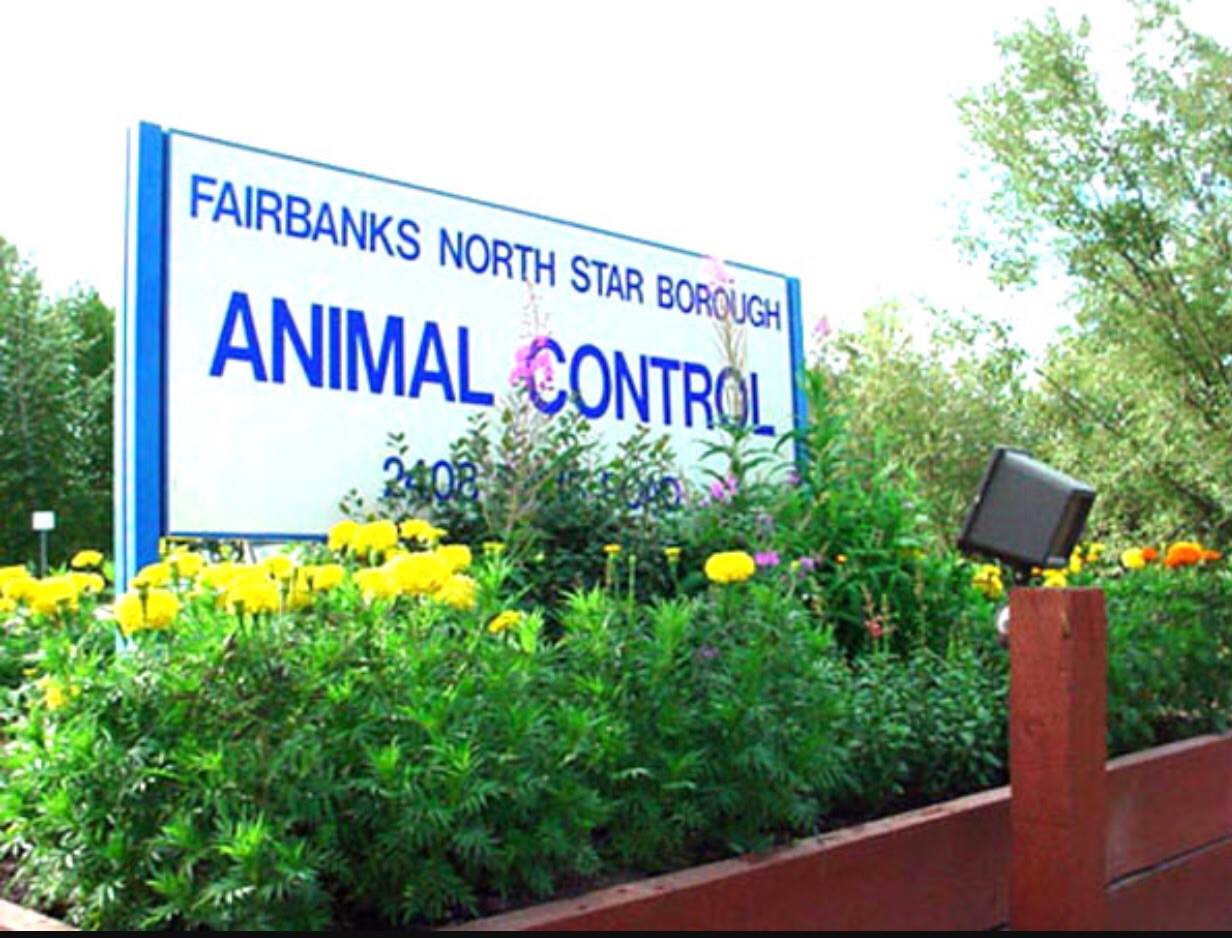 Fairbanks North Star Borough Animal Control Fairbanks