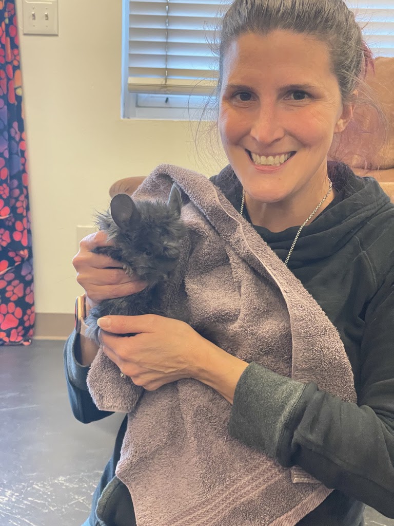 Borealis Veterinary Clinic Wasilla