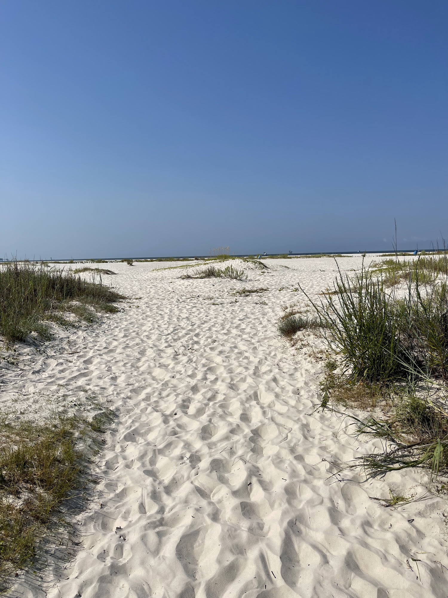 Melisa Pierce Dauphin Island Beach Photography Bienville Blvd, Dauphin Island Alabama 36528