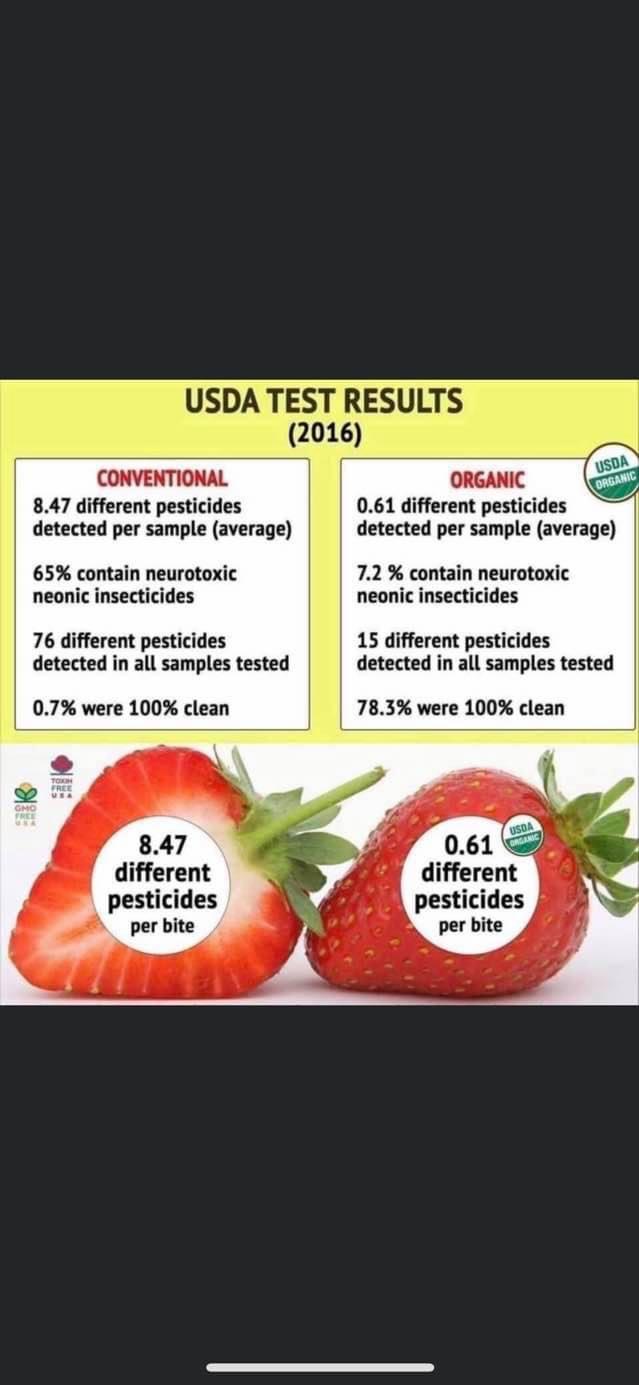 SnoBiz Hazel Green Menu