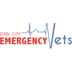 Steel City Emergency Vets Hoover