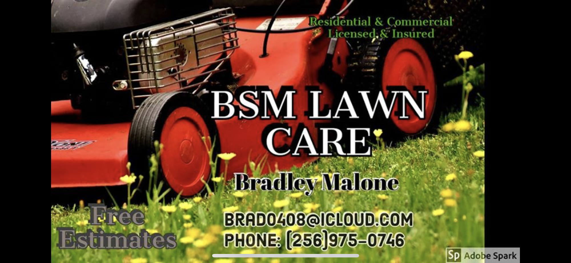BSM Lawn & Tree Service