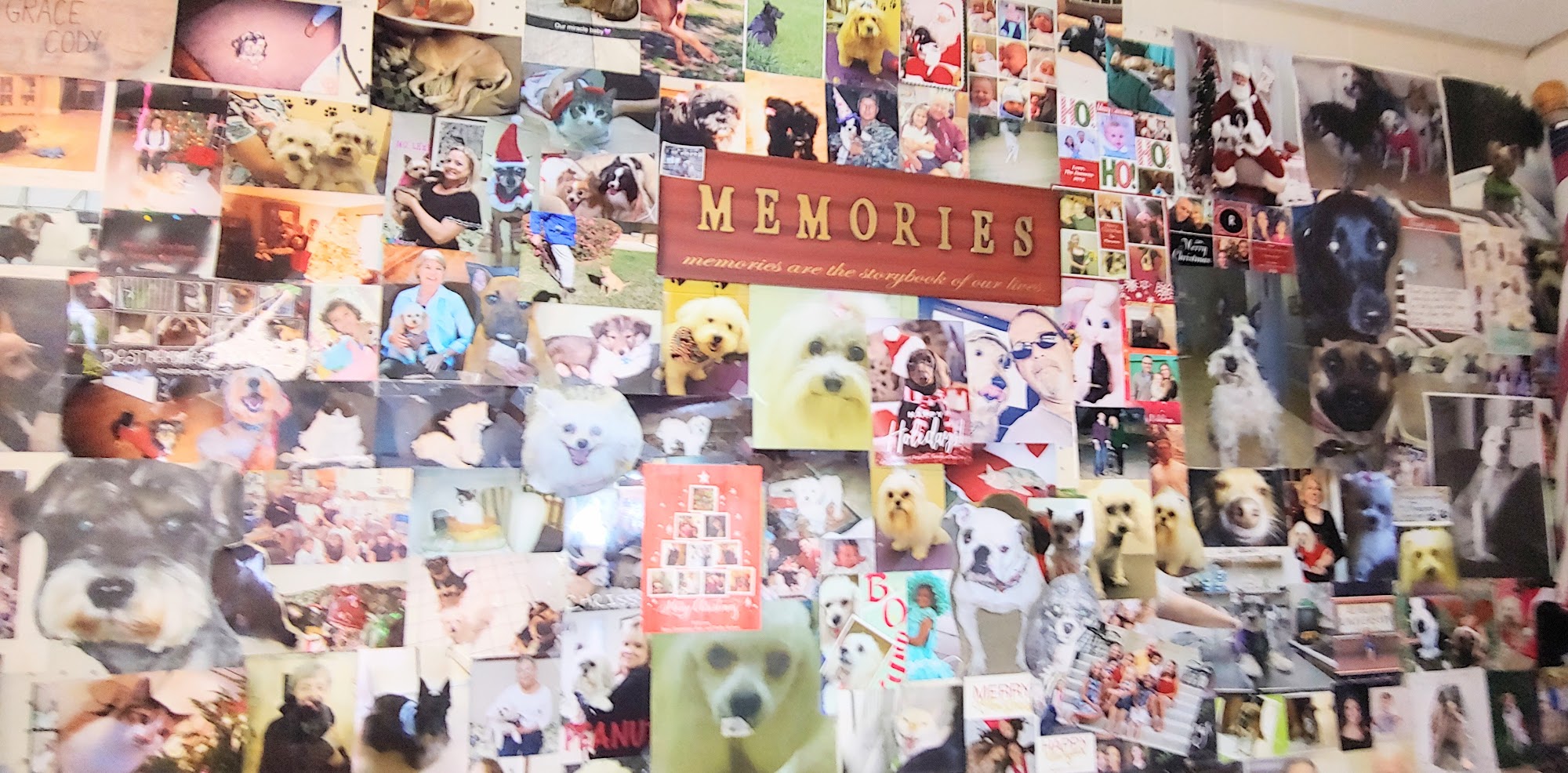 Cottage Hill Animal Clinic Mobile