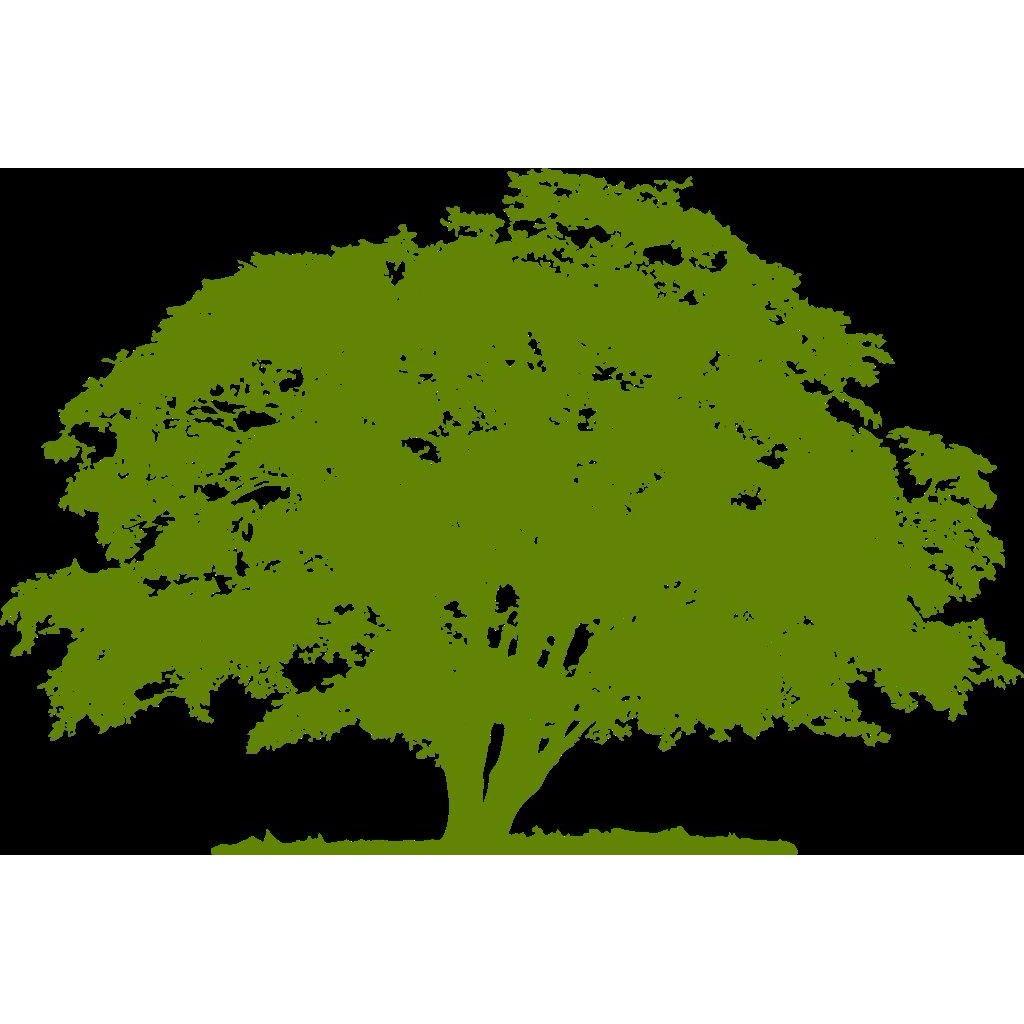 Complete Tree Service 251 Little Zion Rd, Rogersville Alabama 35652