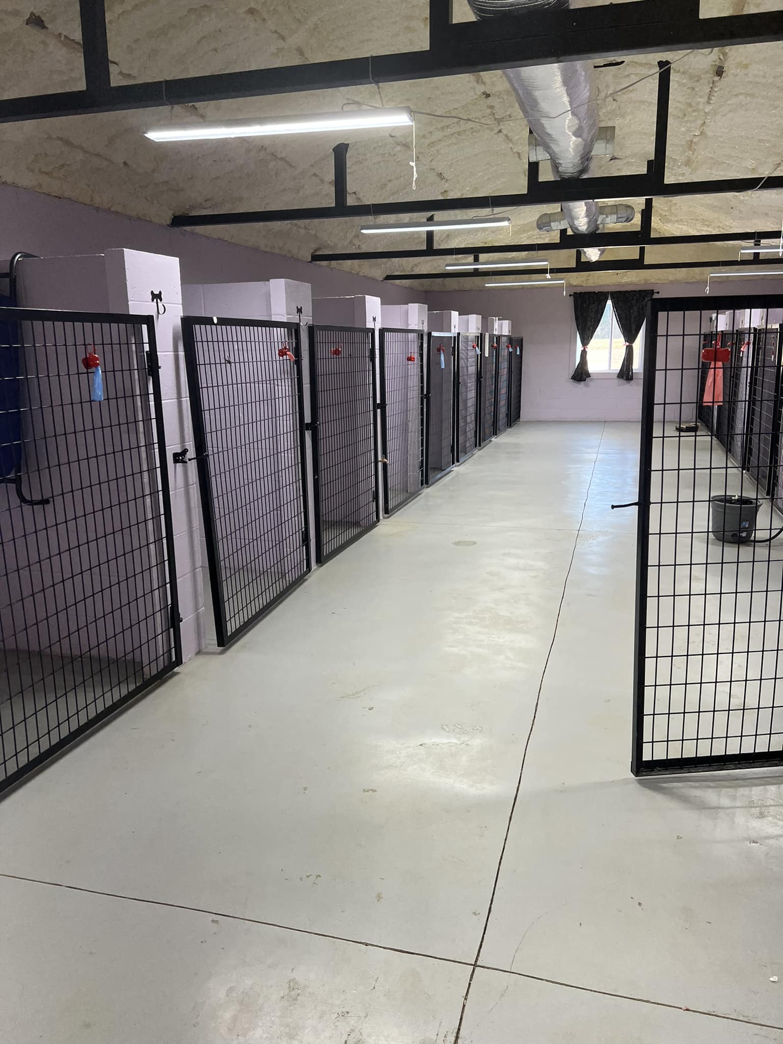 Brandi's Pet Grooming