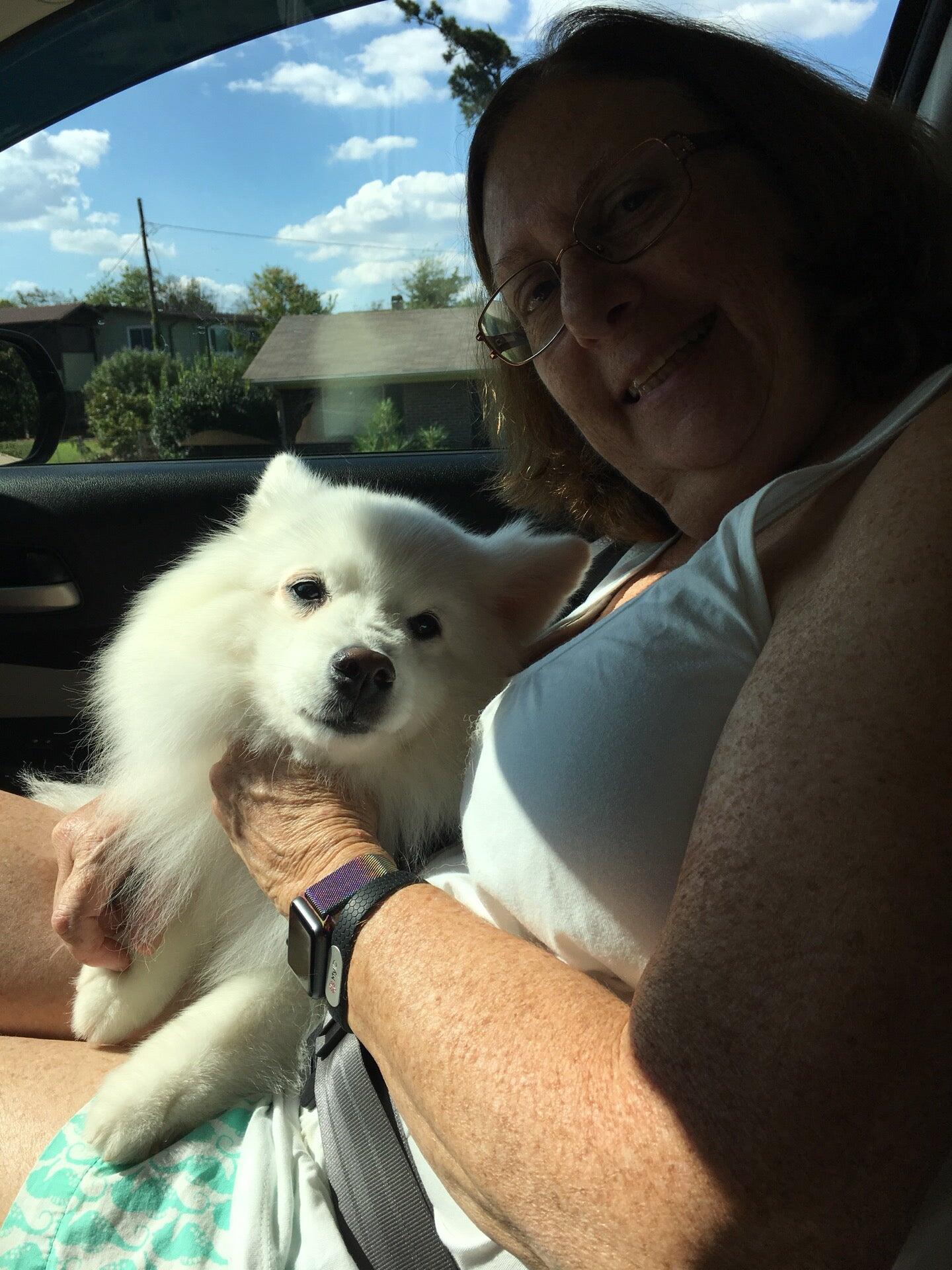 The Dog House Vestavia Hills