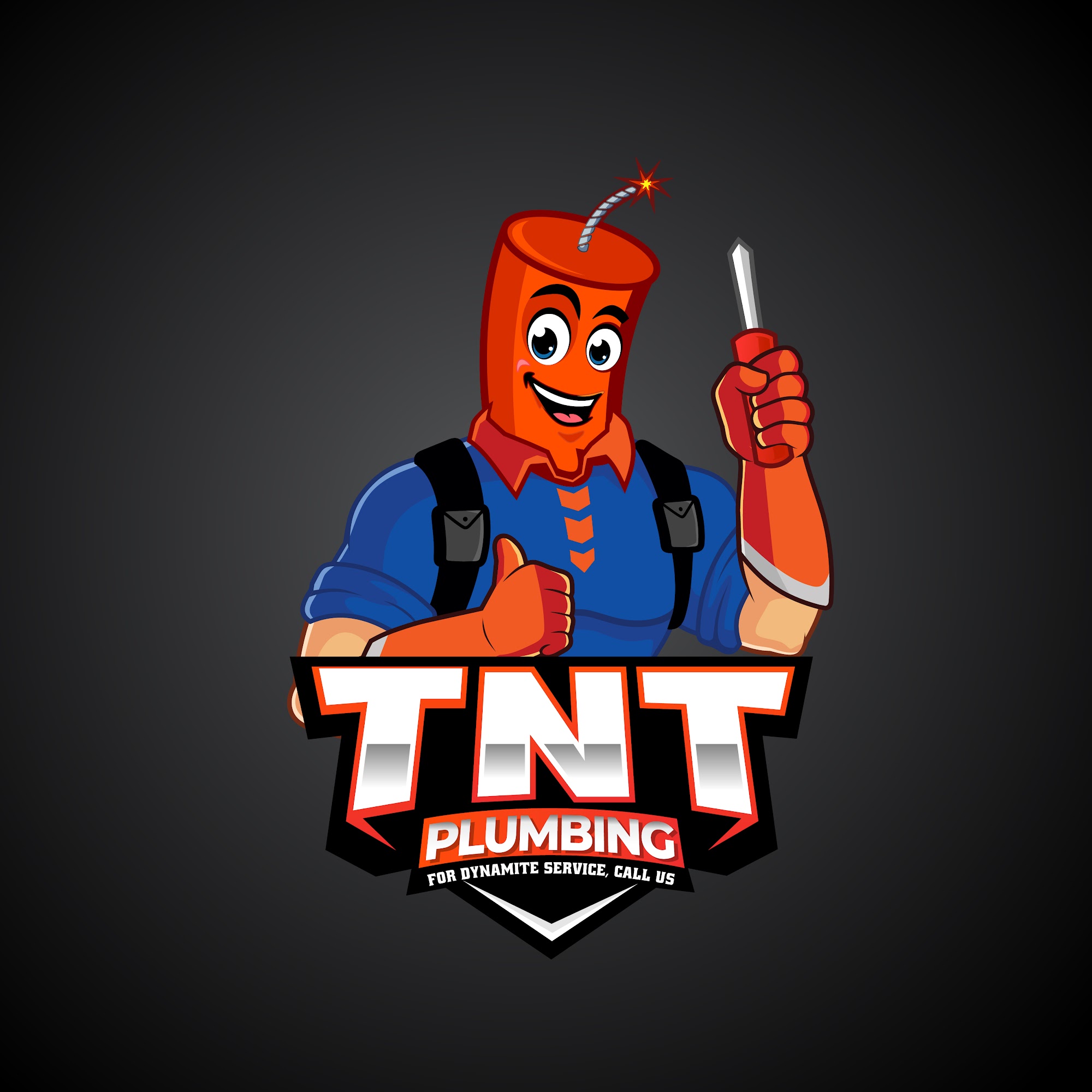 TNT Plumbing 1950 Homestead Ln, Wilmer Alabama 36587