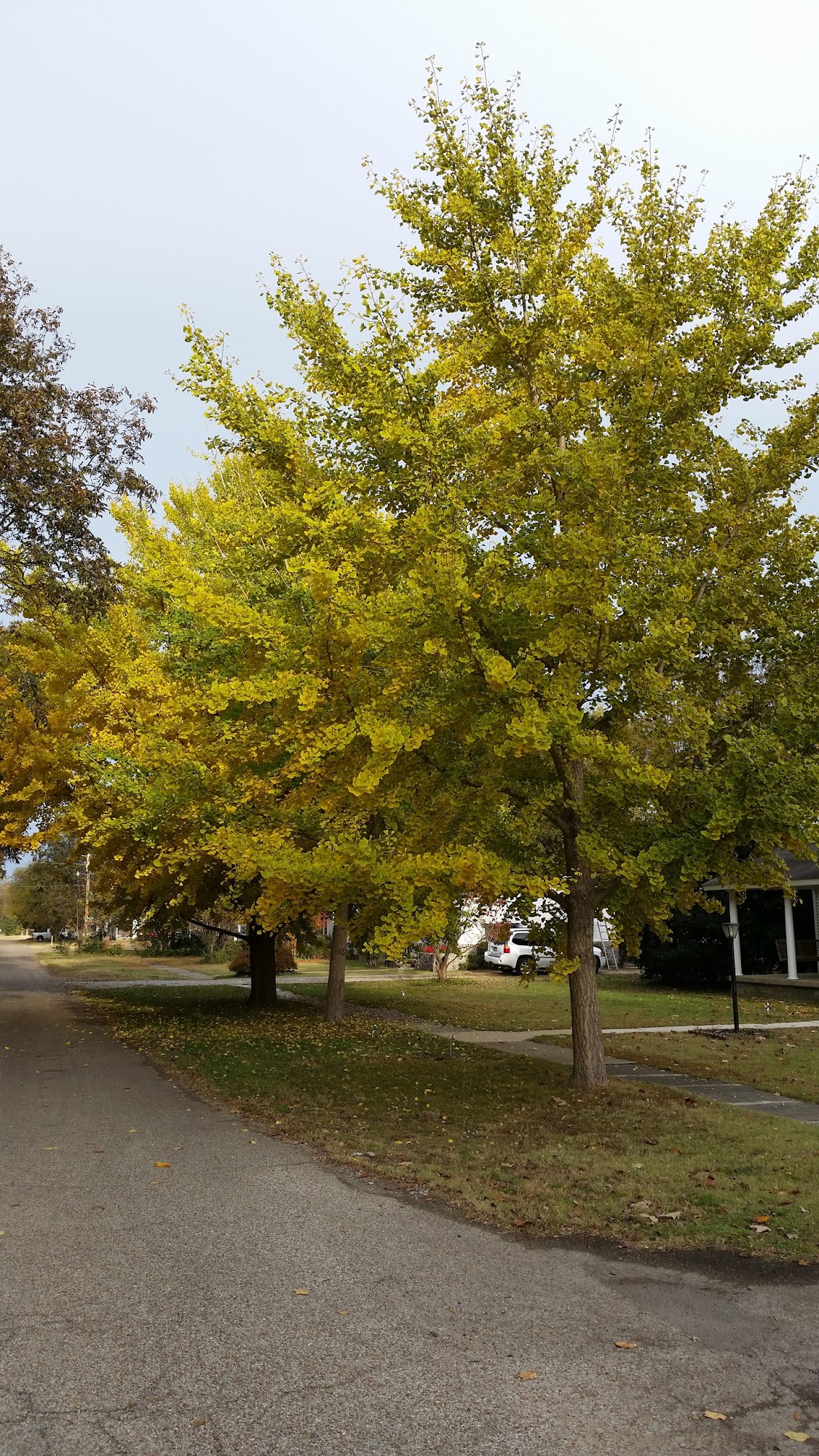 Bobby Gene Moody & Son Plumbing