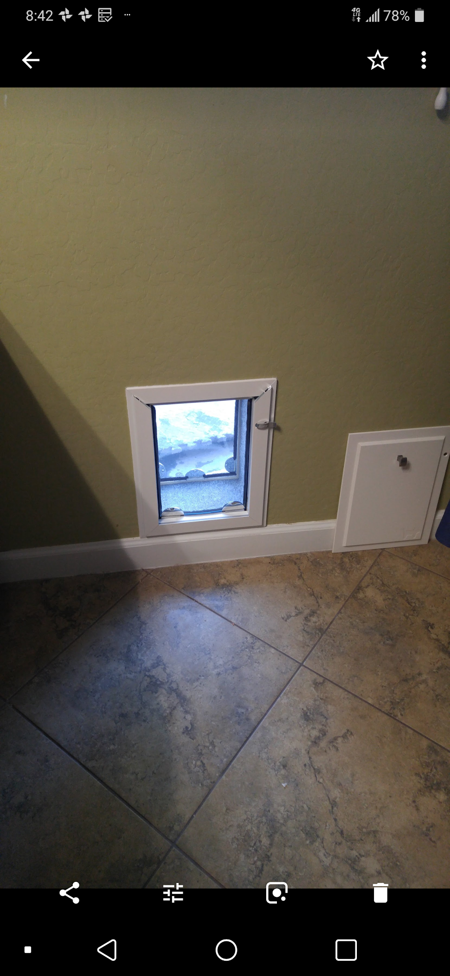 Az Dog Doors Chandler