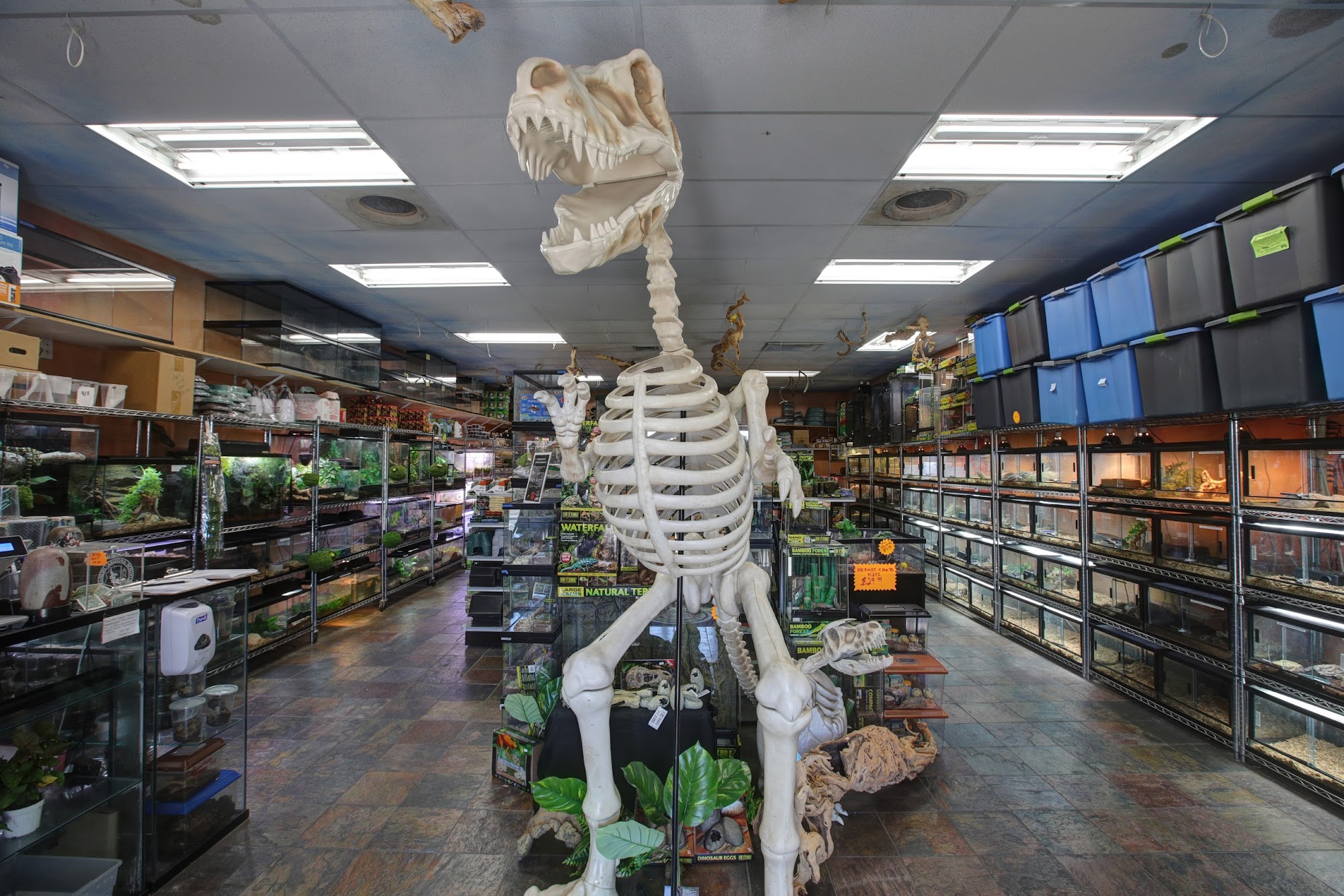 Predators Reptile Center Mesa