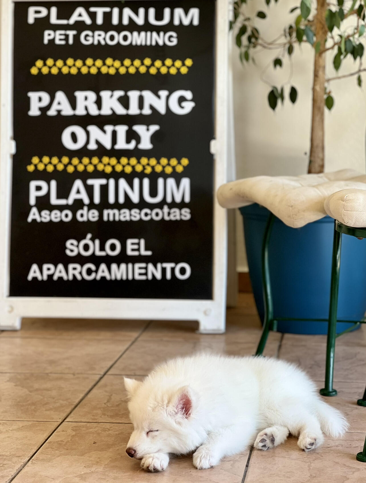 Photo credit: nextdoor