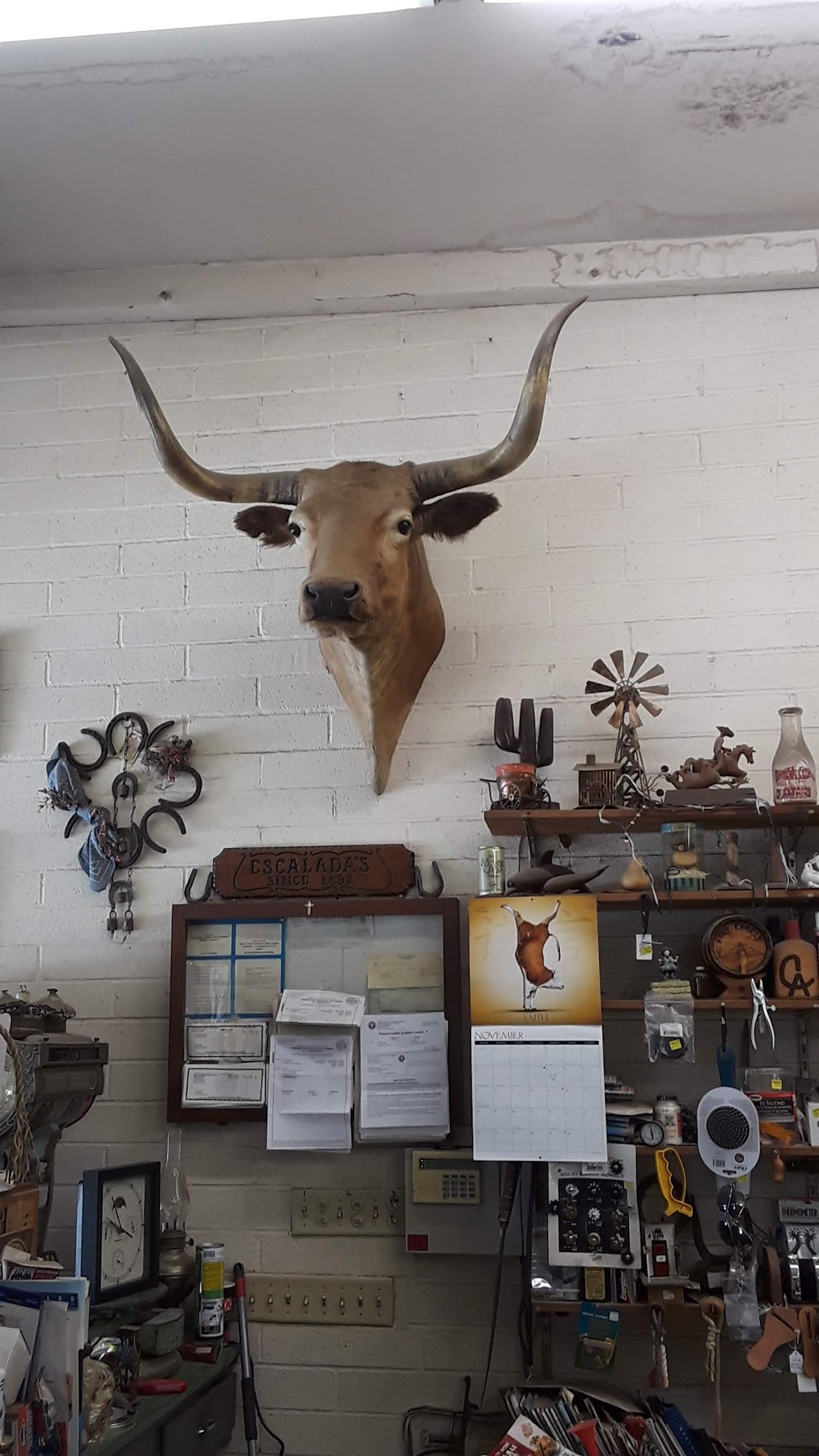 Escalada's Inc Nogales