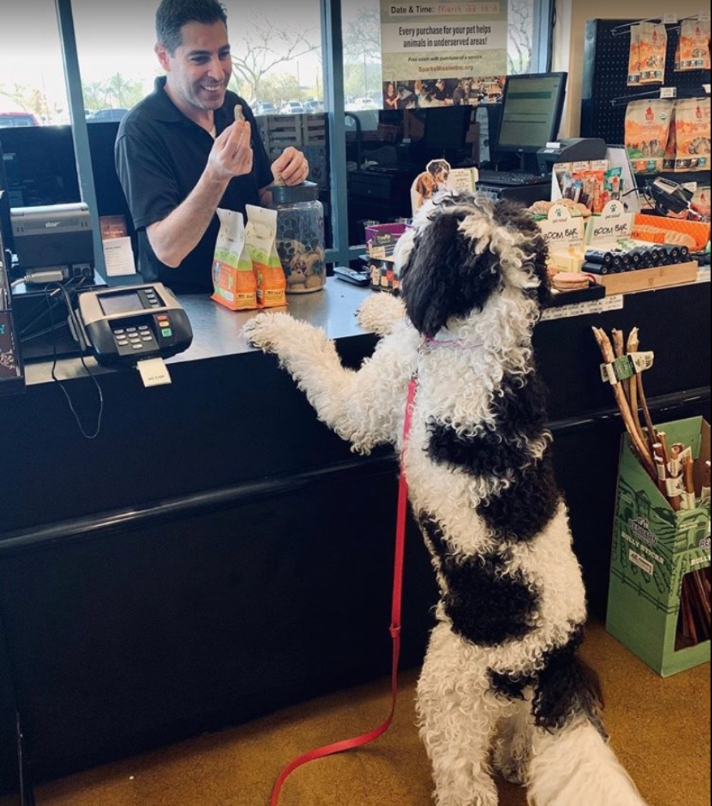 My Pet Market Phoenix