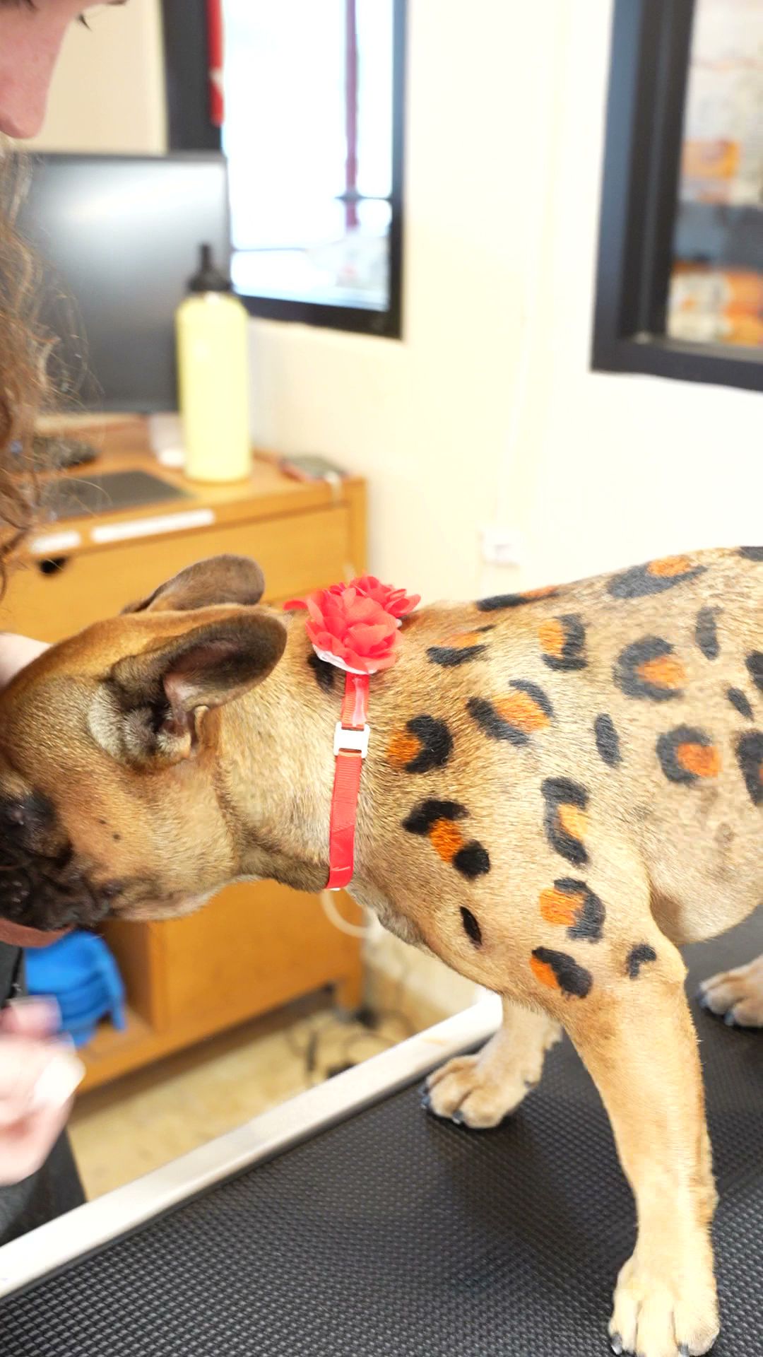 Cookies N Clean Phoenix