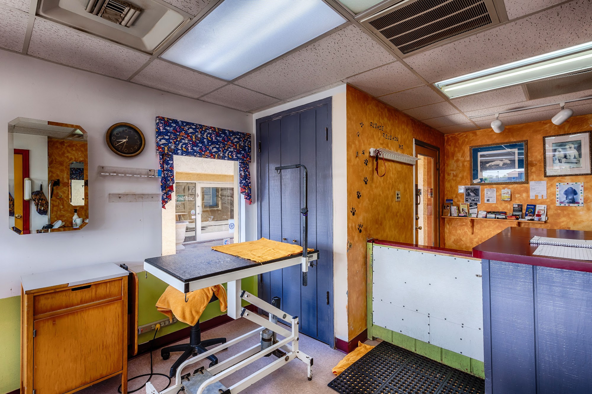 Raining Cats & Dogs Grooming Salon Scottsdale