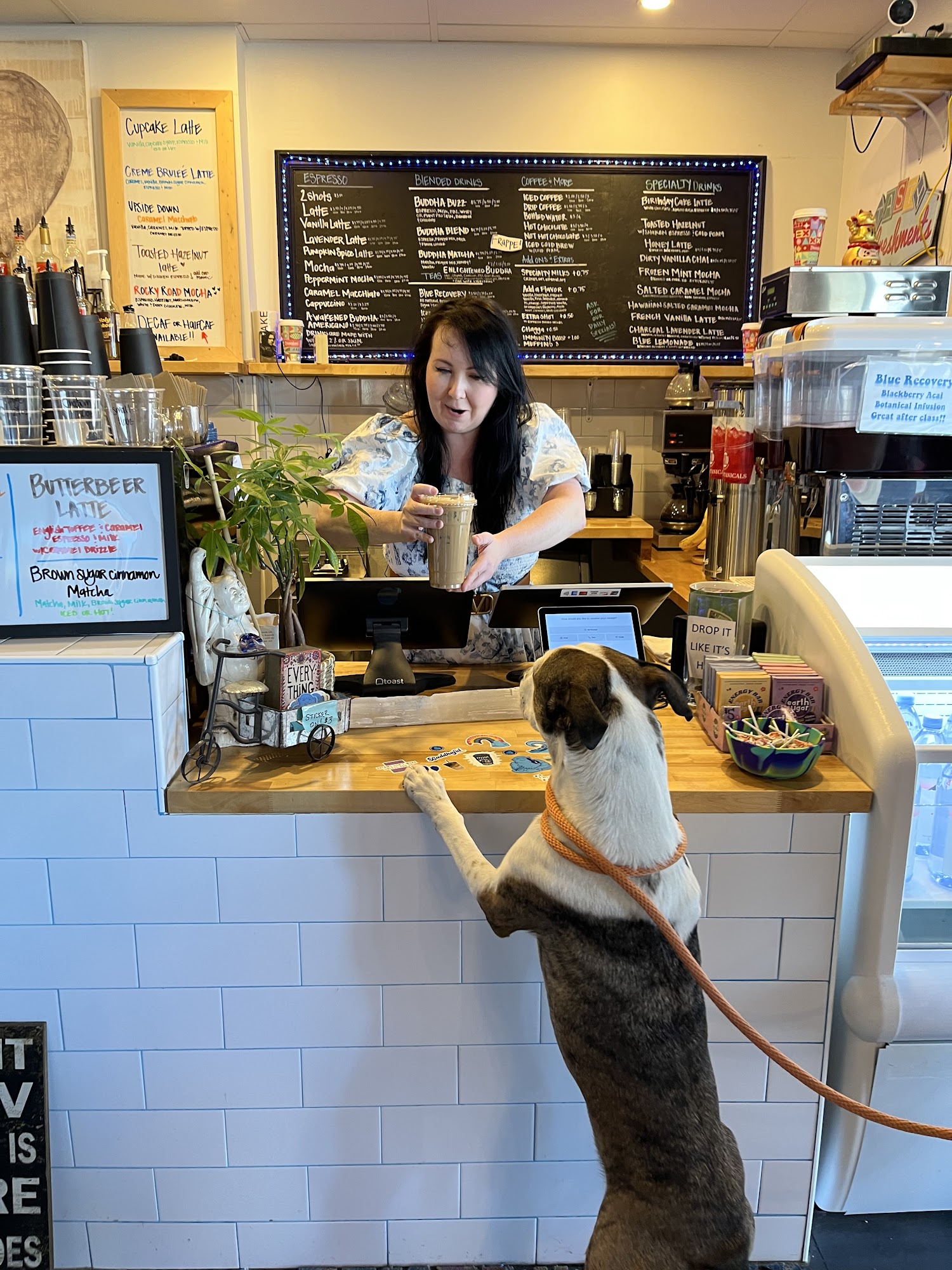 Blue Buddha Collective 423 N Scottsdale Rd, Scottsdale Arizona 85257