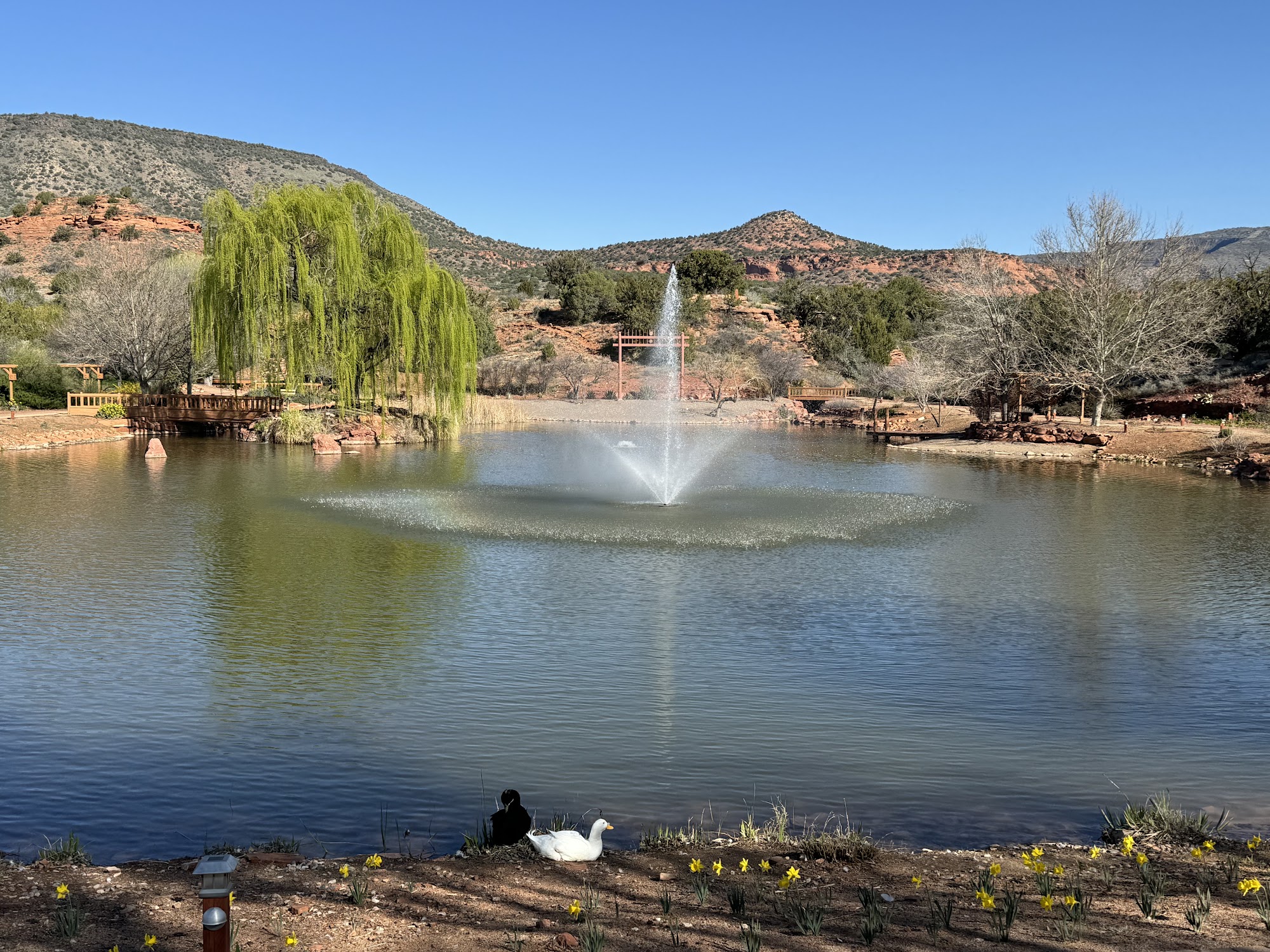 Sedona Mago Center for Well-being and Retreat