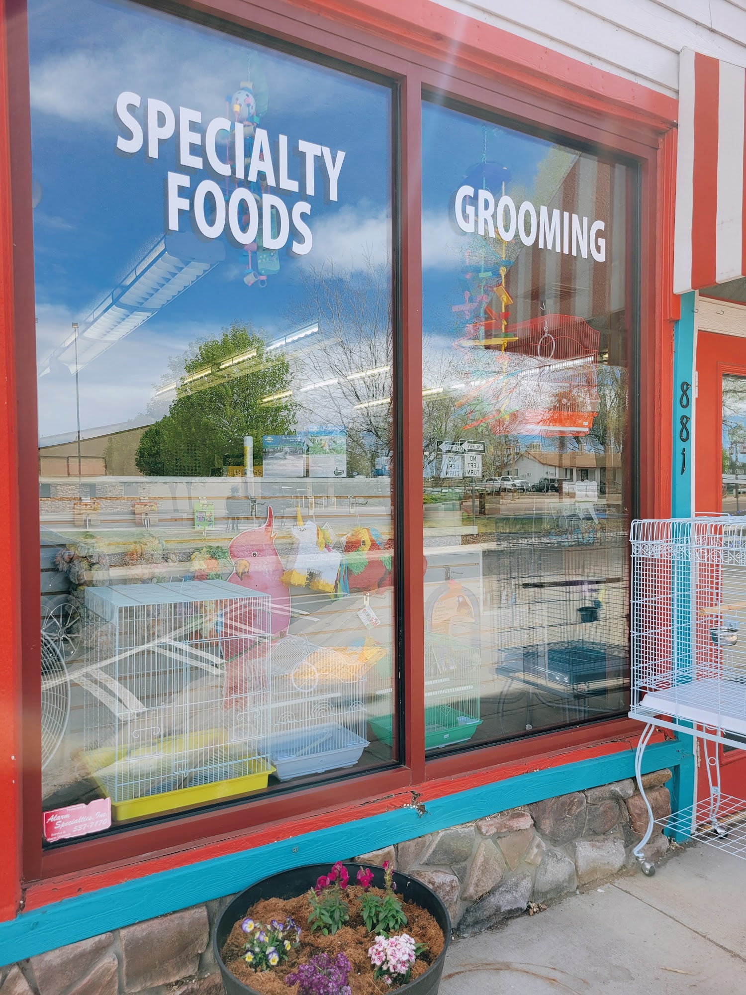 Perfect Paws Show Low