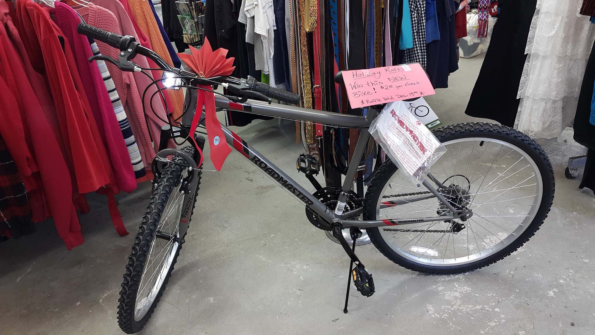 Pet Allies Clinic Show Low