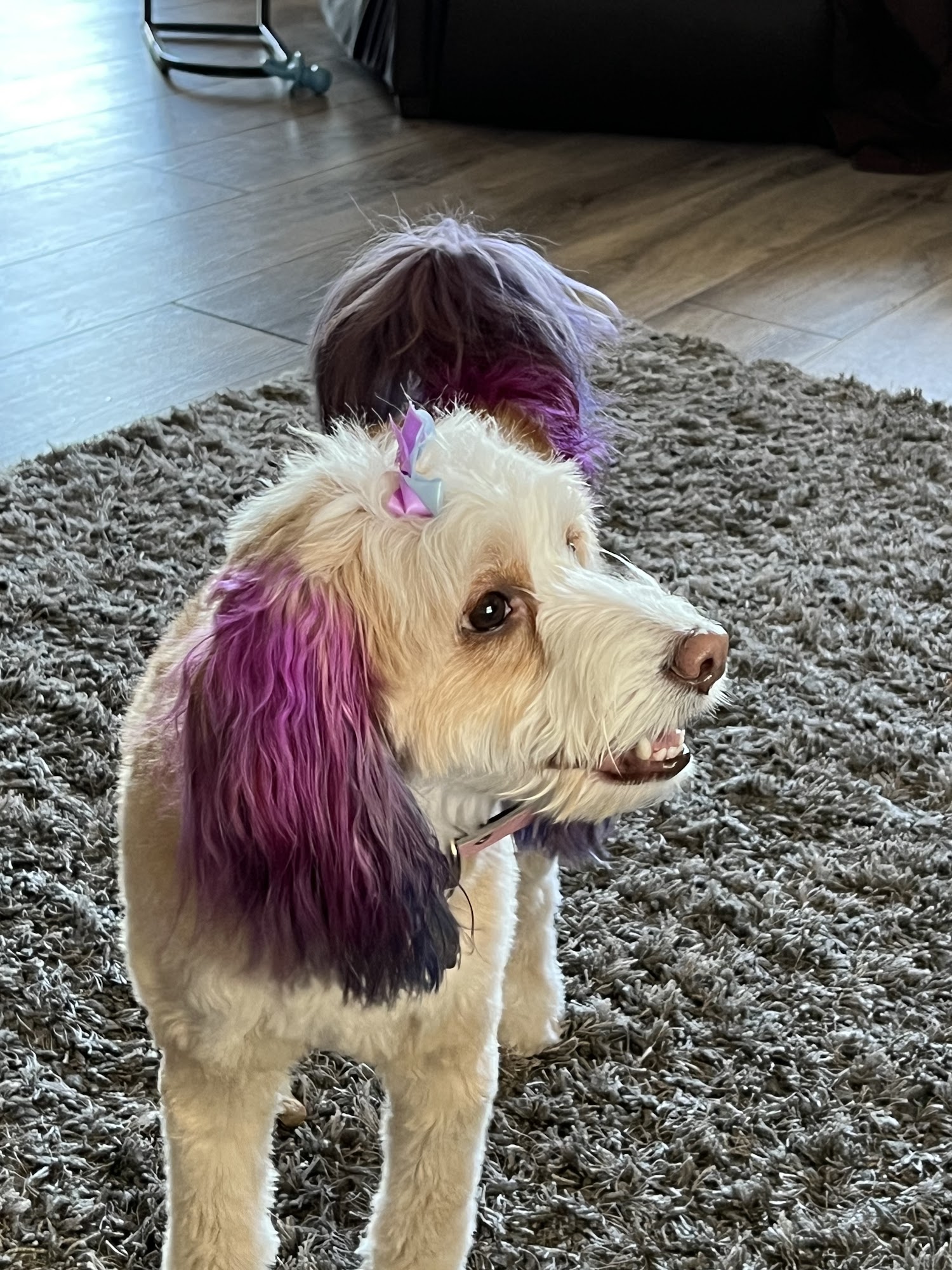 Hector's Hay and Feed Snowflake