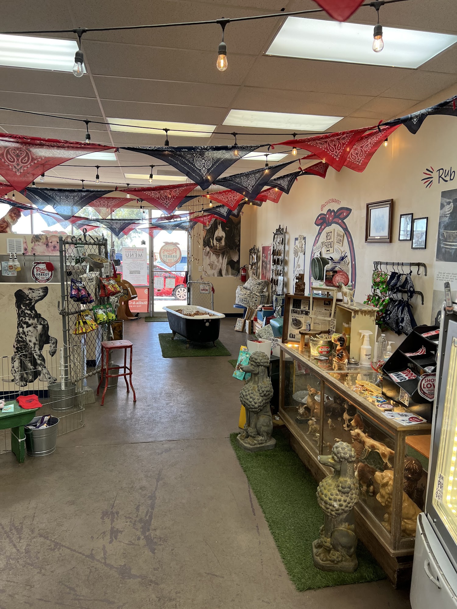 Rosie's Barket DIY Dog Wash OV Tucson