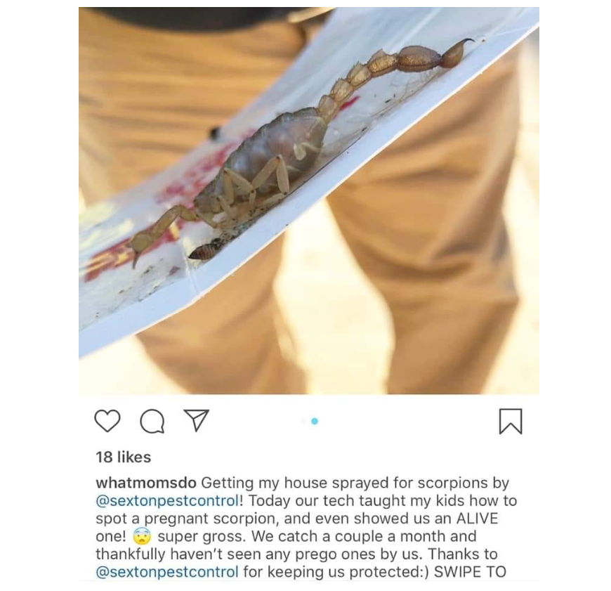 Photo credit: nextdoor