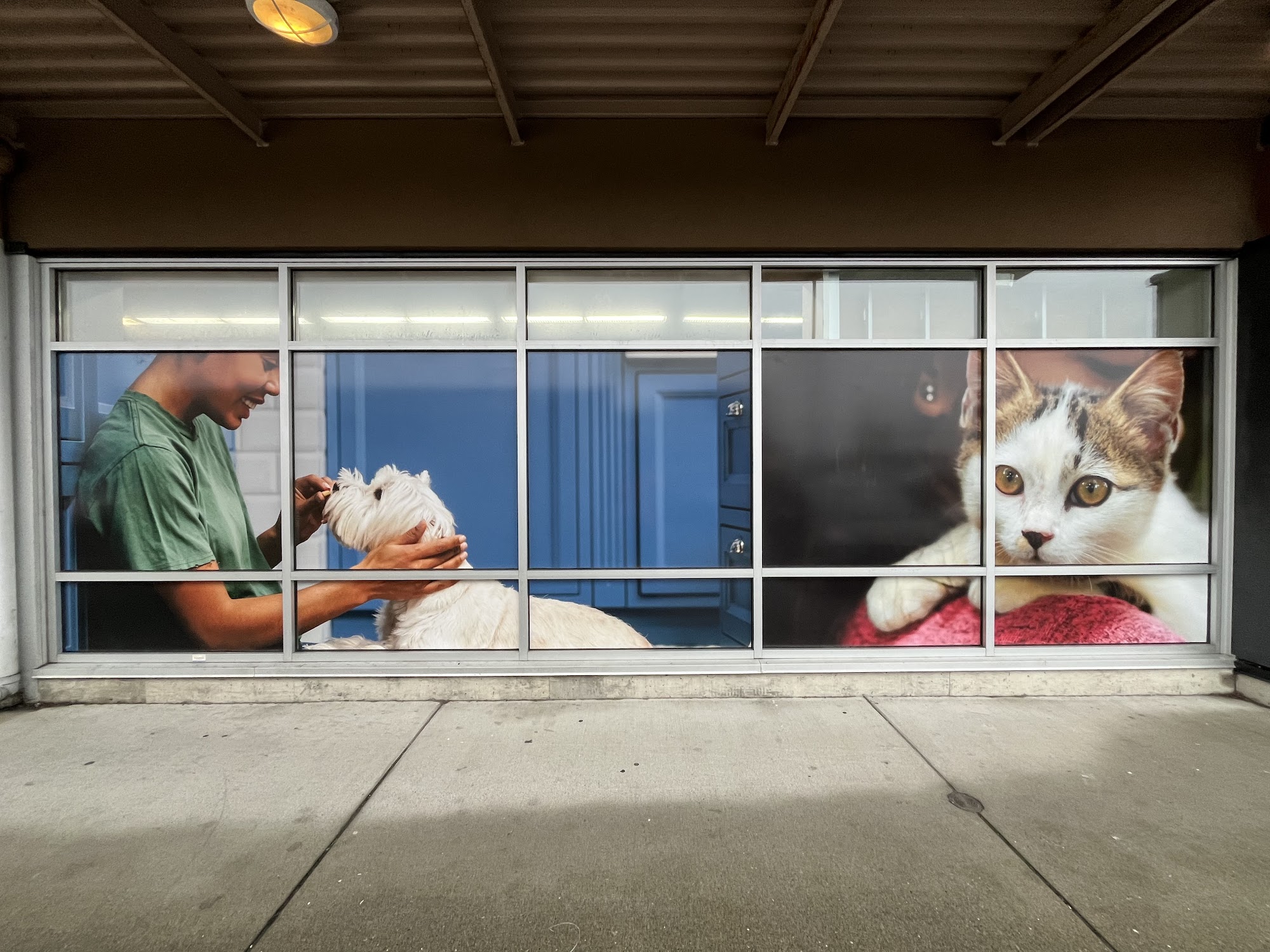 Bosley's Campbell River